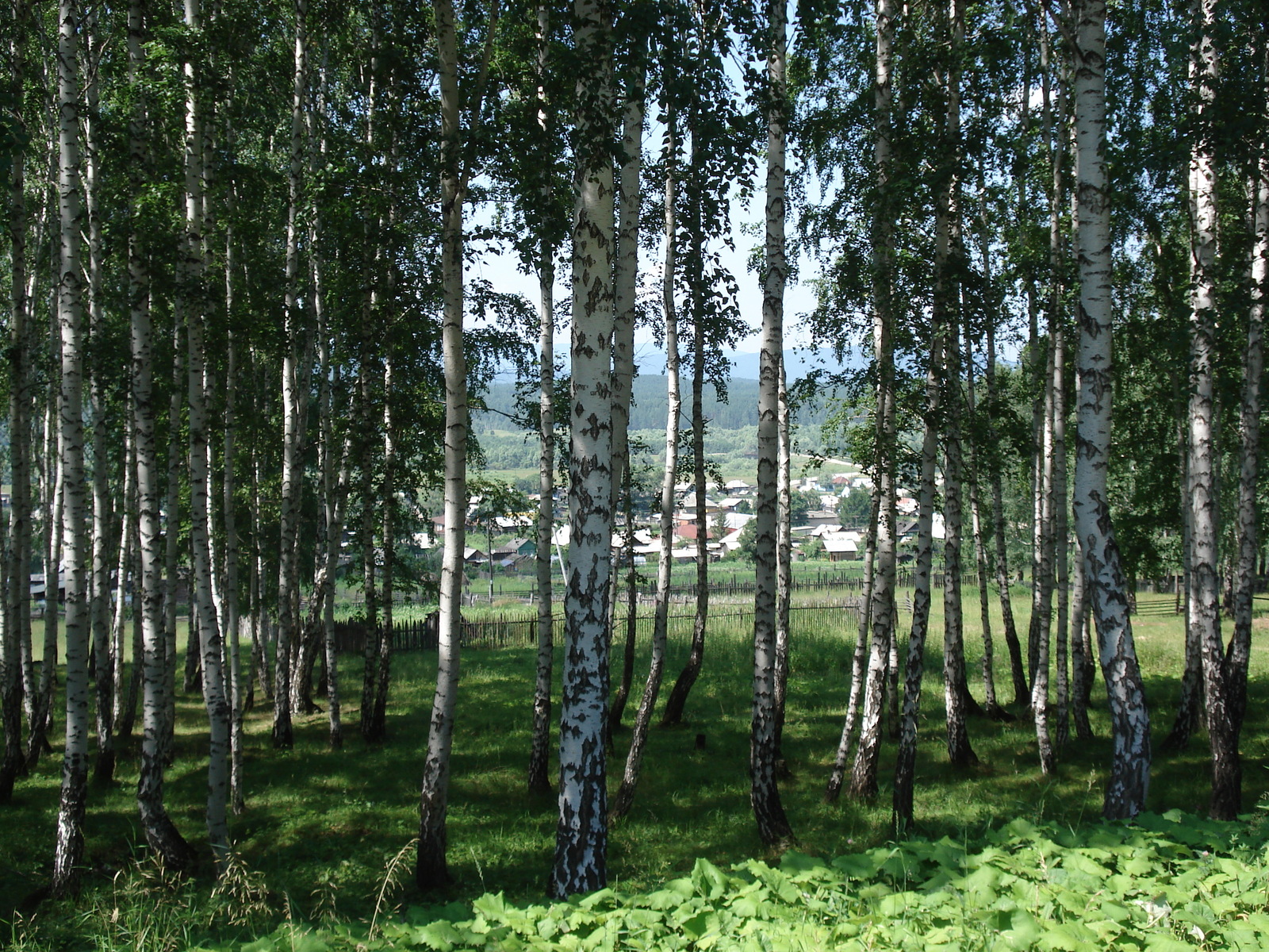 รูปถ่าย รัสเซีย(Russia) อูรัล(Ural) 2006-07 29