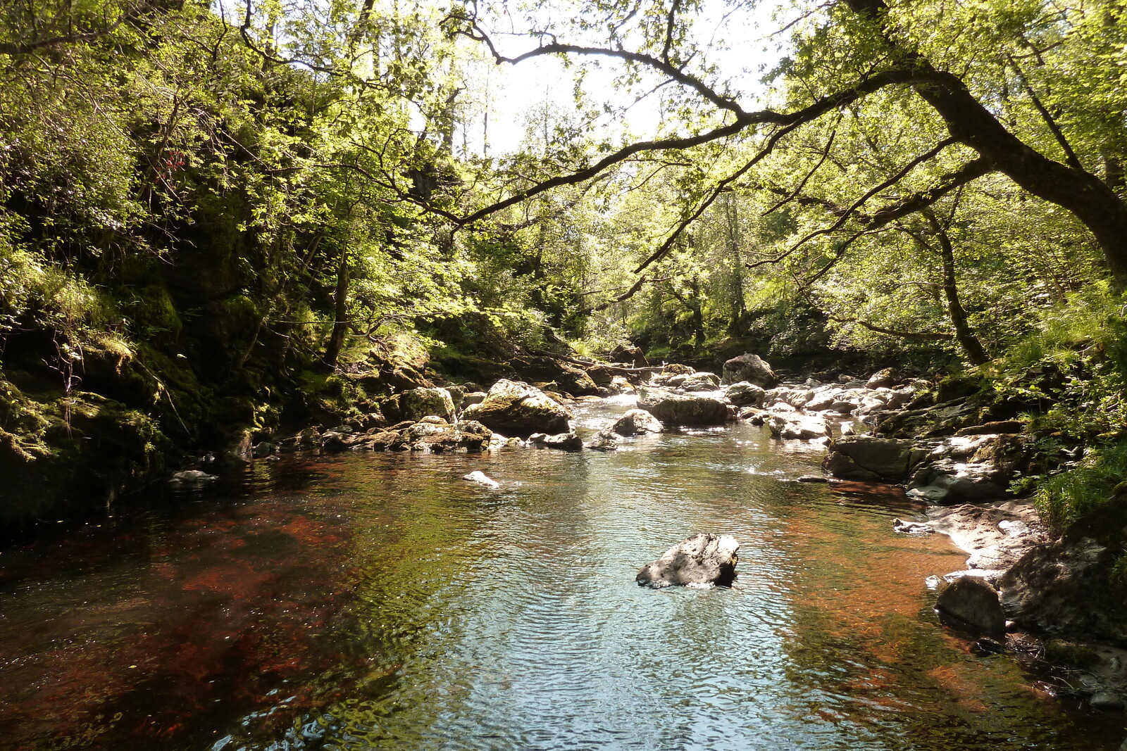 รูปถ่าย อังกฤษ(United Kingdom) เกลนโค(Glen Coe) 2011-07 57