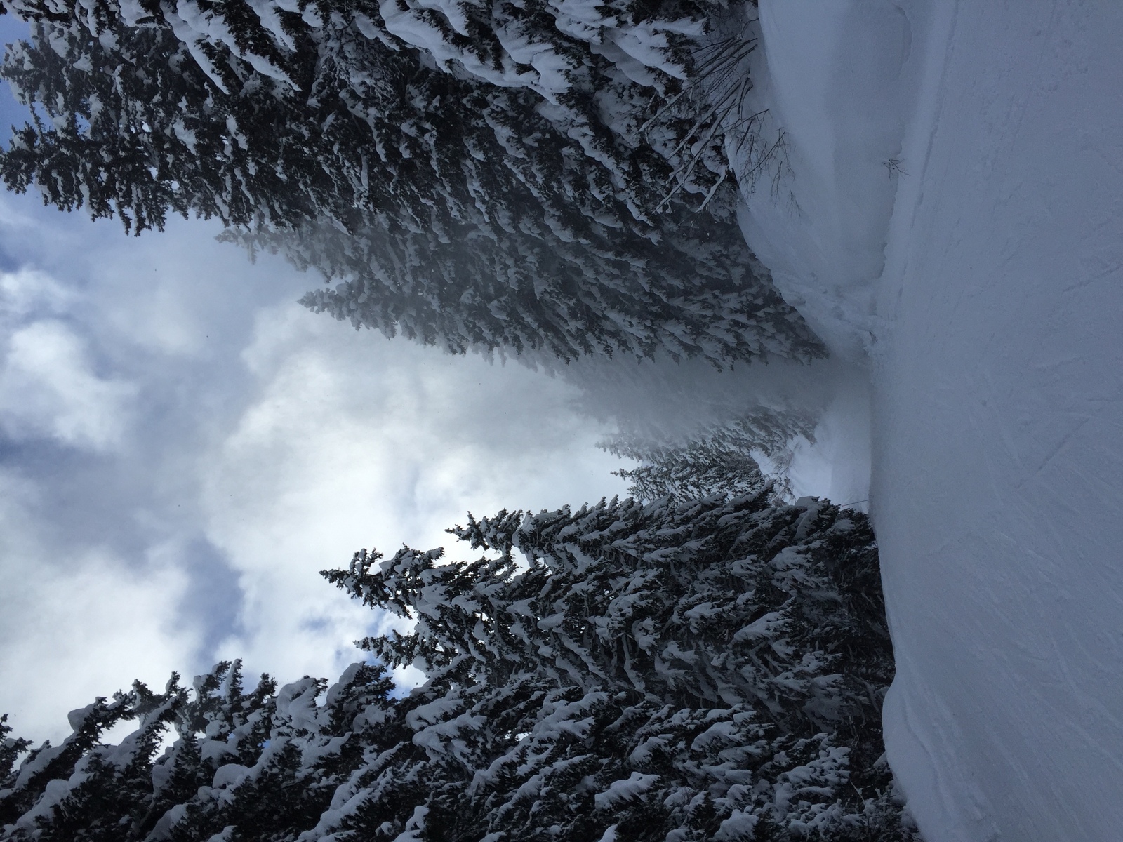 รูปถ่าย ฝรั่งเศส(France) เมแฌฟว์(Megeve) 2016-02 72