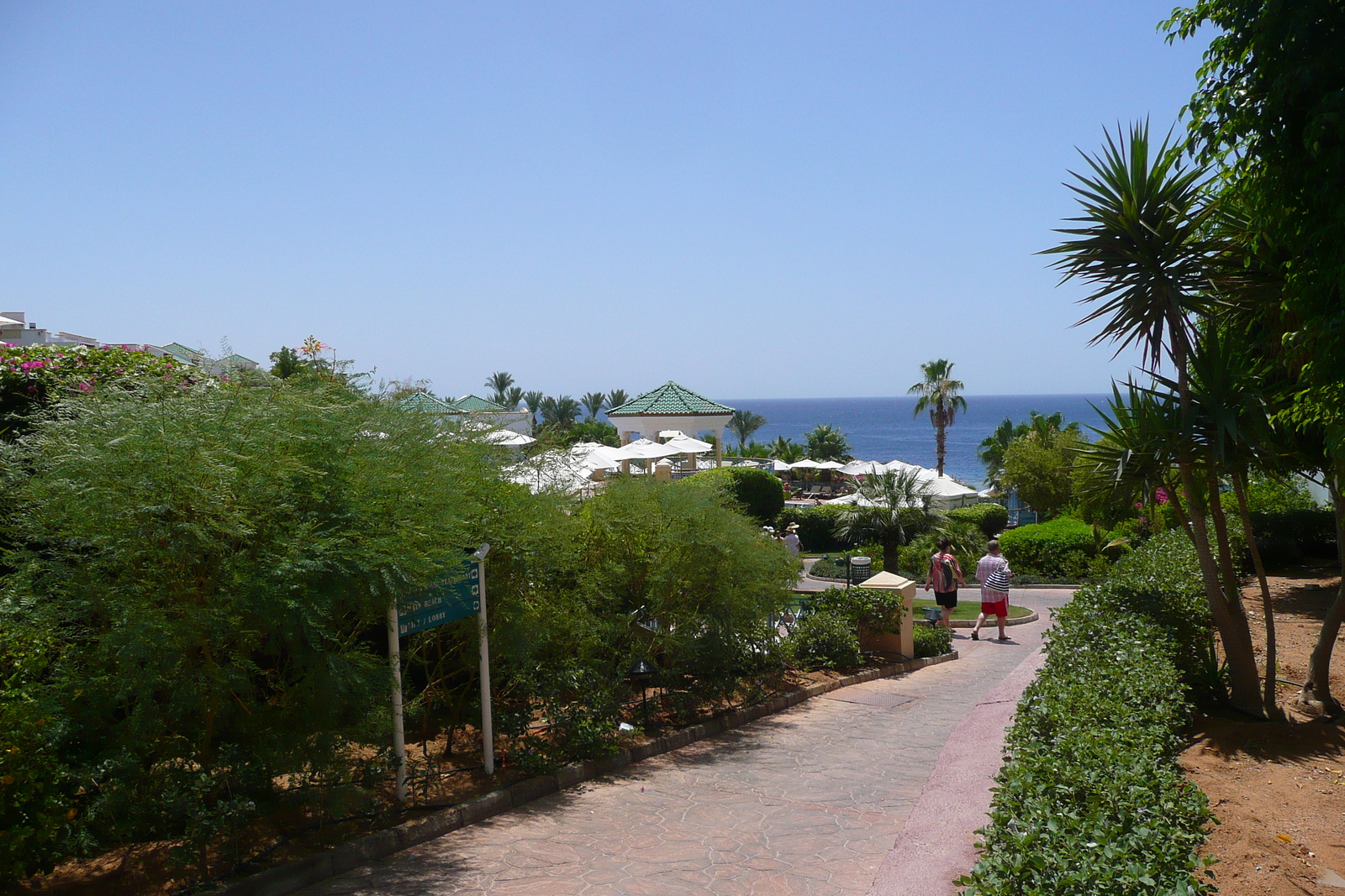 รูปถ่าย อียิปต์(Egypt) ชาร์มเอลชีค(Sharm el Sheikh) โรงแรมไฮแอต(Hyatt Hotel) 2008-06 13