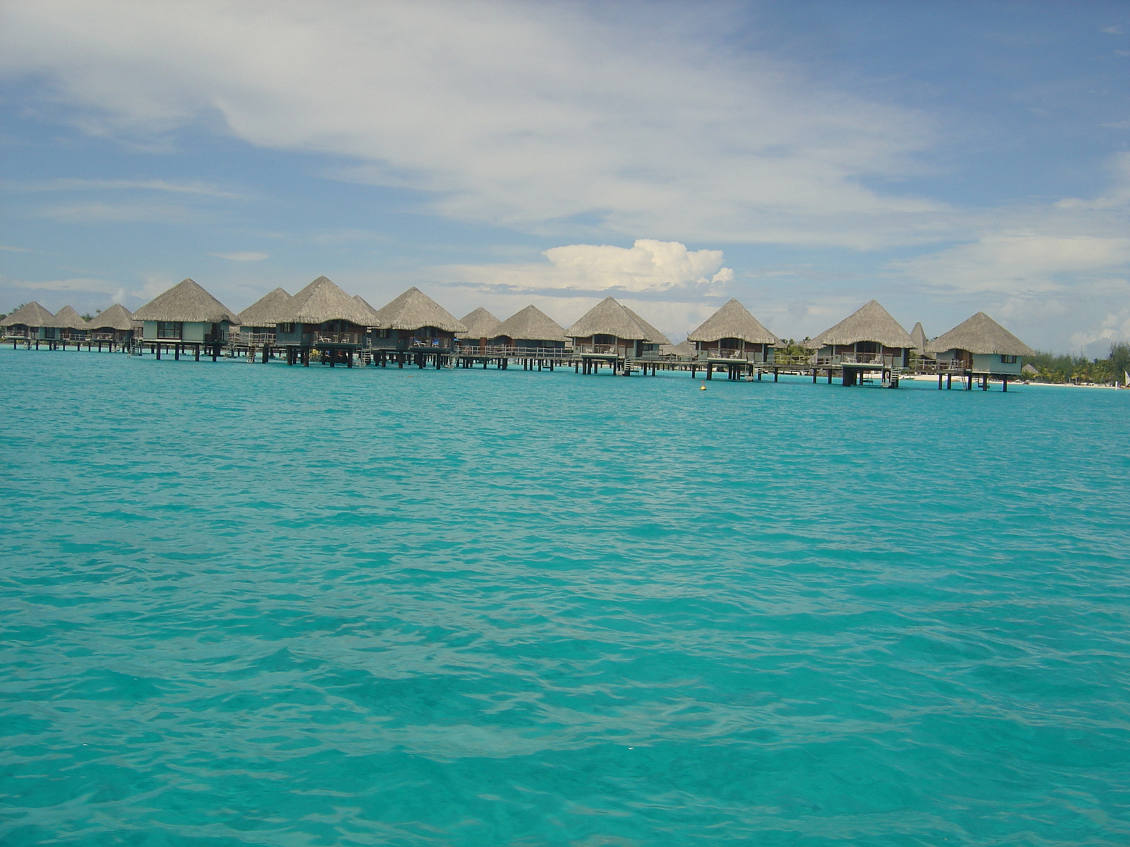 รูปถ่าย เฟรนช์โพลี่นีเซีย(Polynesia) โรงแรมเลอเมอริเดียน โบราโบรา(Meridien Bora Bora Hotel) 2006-04 240