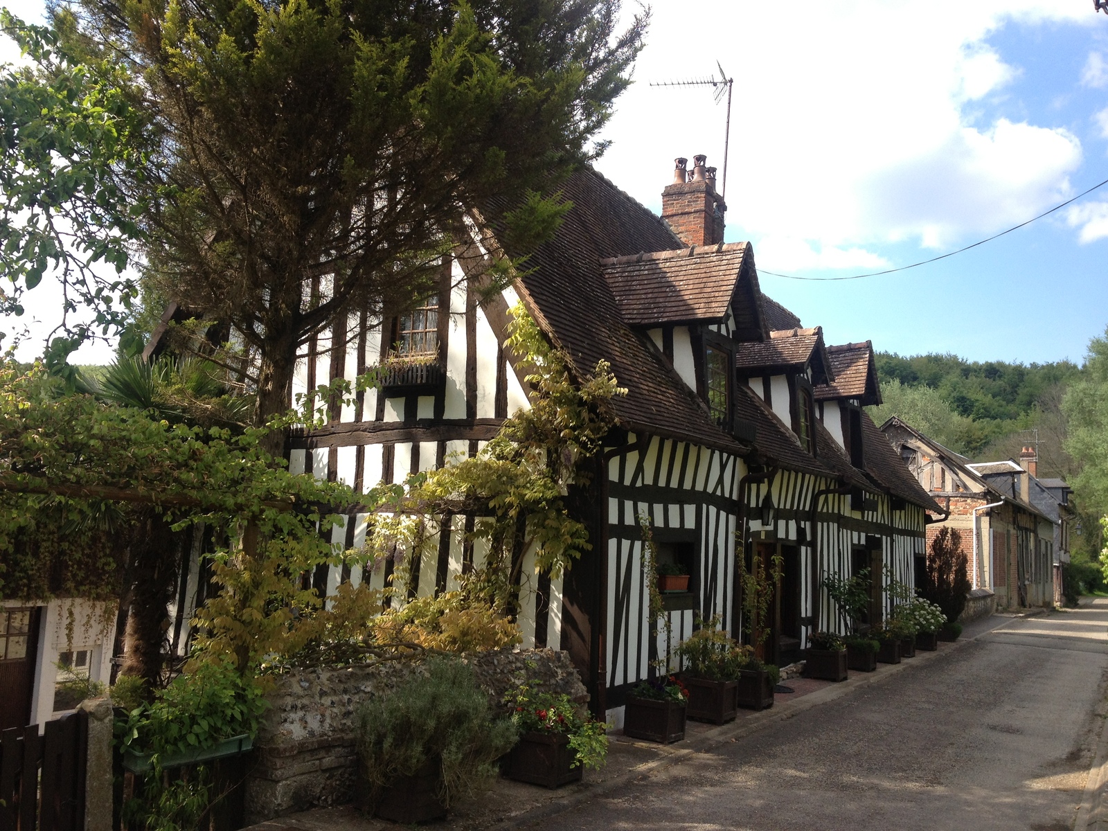 รูปถ่าย ฝรั่งเศส(France) ลียงส์-ลา-ฟอแร(Lyons La Foret) 2014-05 45