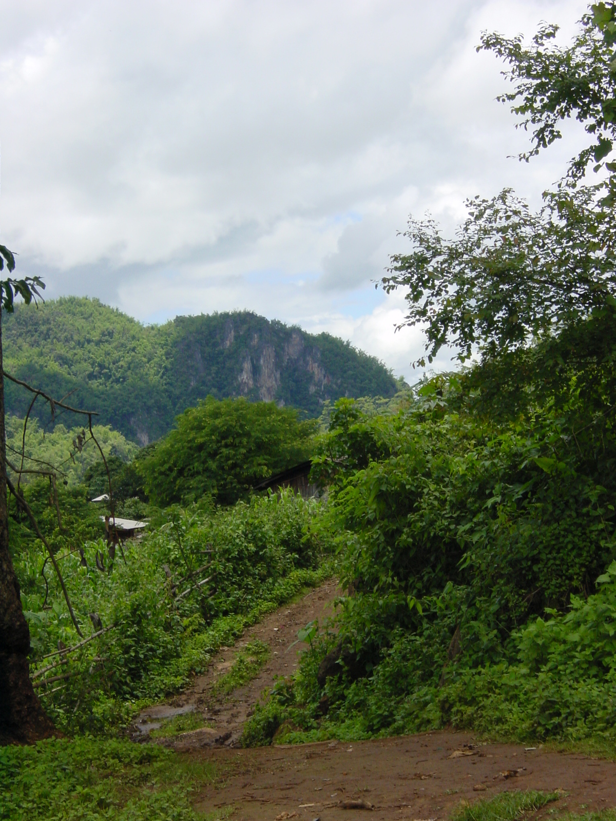 รูปถ่าย ไทย(Thailand) แม่ฮ่องสอน(Mae Hong Son) 2003-07 19