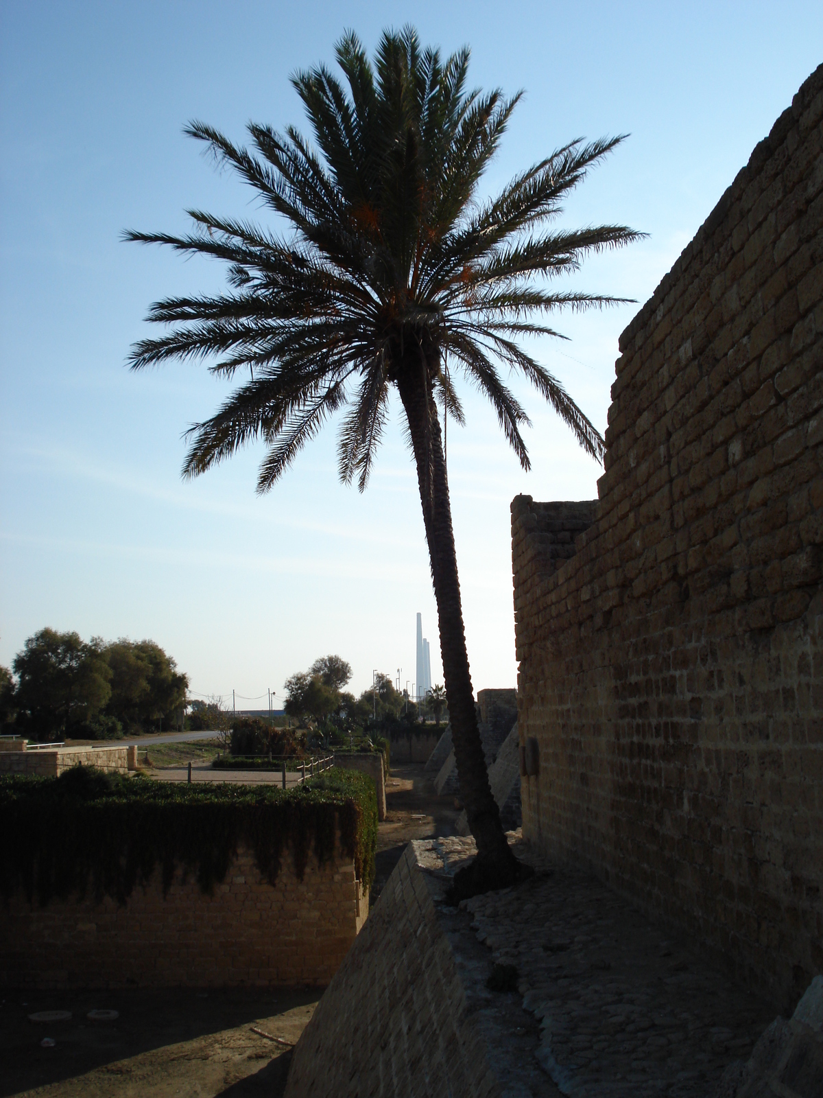 รูปถ่าย อิสราเอล(Israel) ซีซาร์เรีย(Caesarea) 2006-12 106
