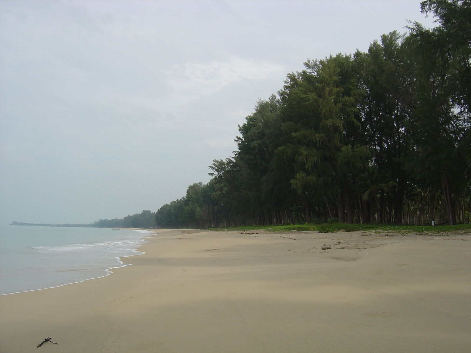 รูปถ่าย ไทย(Thailand) เขาหลัก(Khao Lak) หาดบางสัก(Bang Sak Beach) 2005-12 64