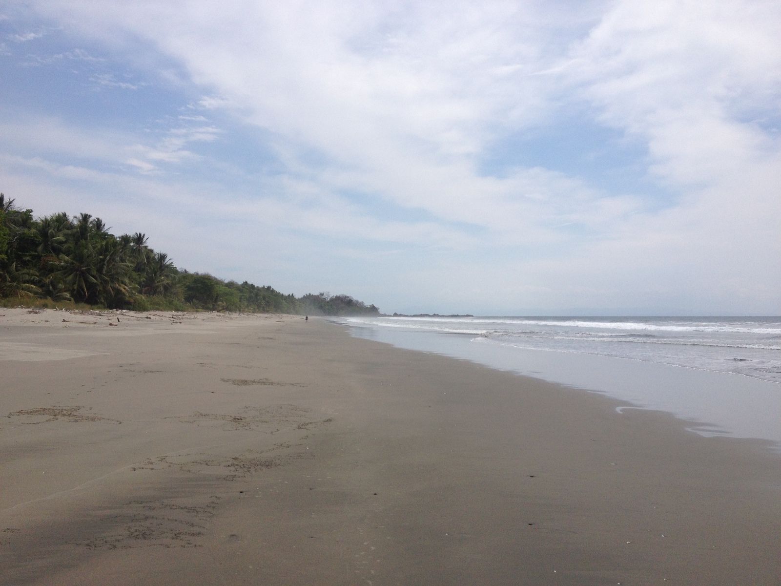 รูปถ่าย คอสตาริกา(Costa Rica) มอนเตซูมา(Montezuma) 2015-03 325