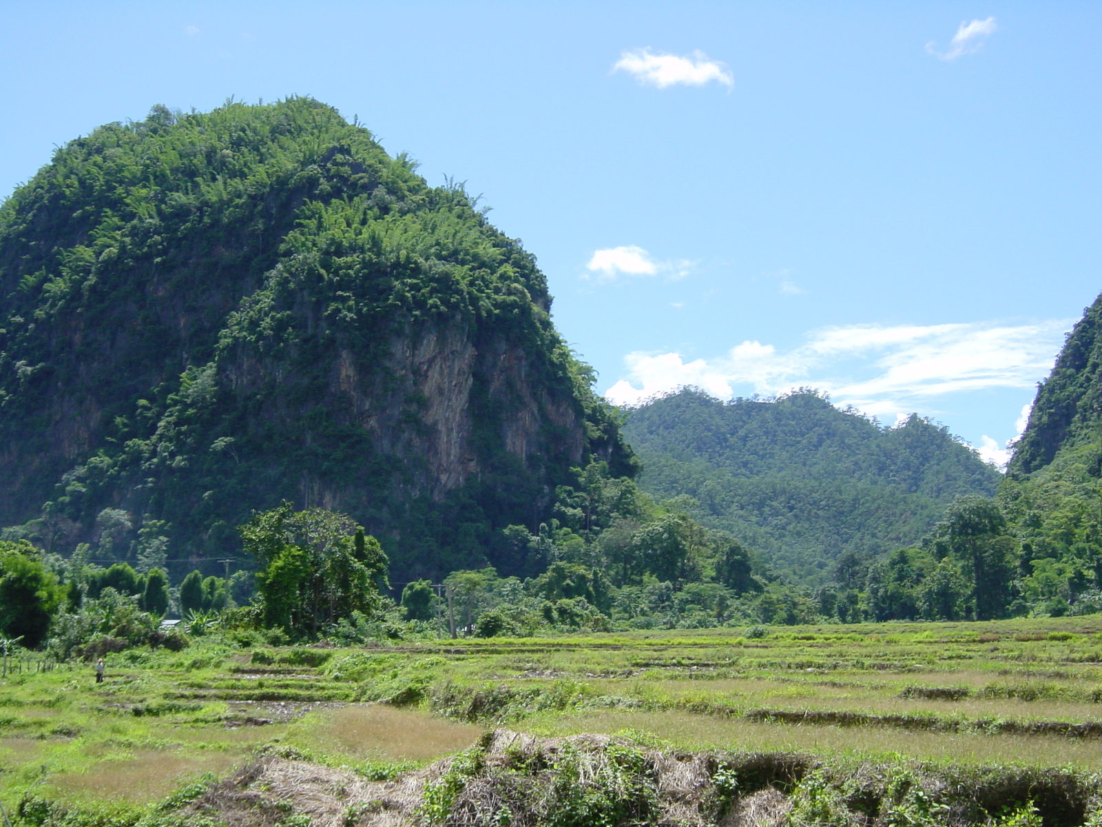 รูปถ่าย ไทย(Thailand) แม่ฮ่องสอน(Mae Hong Son) 2003-07 16