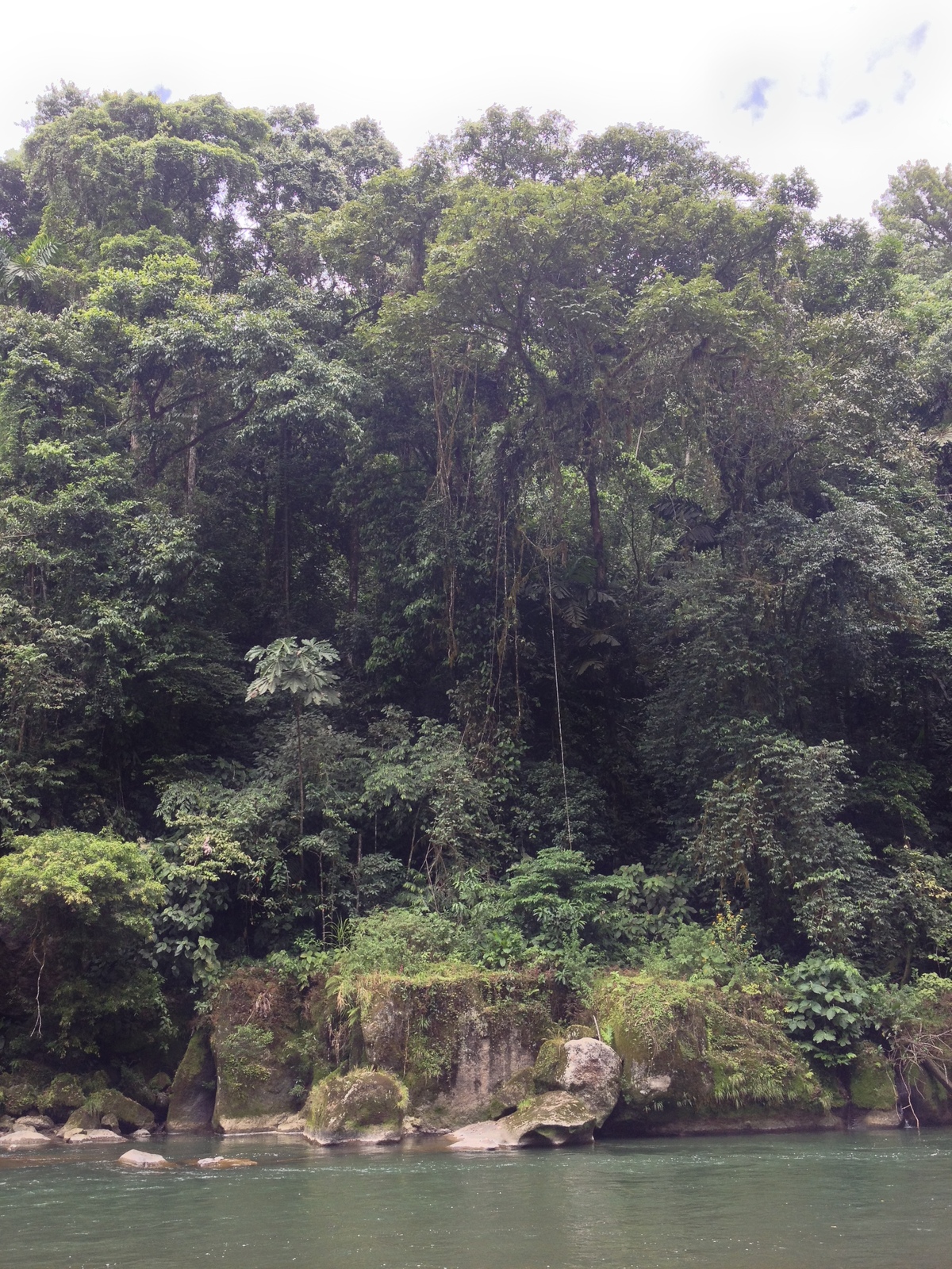 รูปถ่าย คอสตาริกา(Costa Rica) แม่น้ำปากัวเร(Pacuare River) 2015-03 225