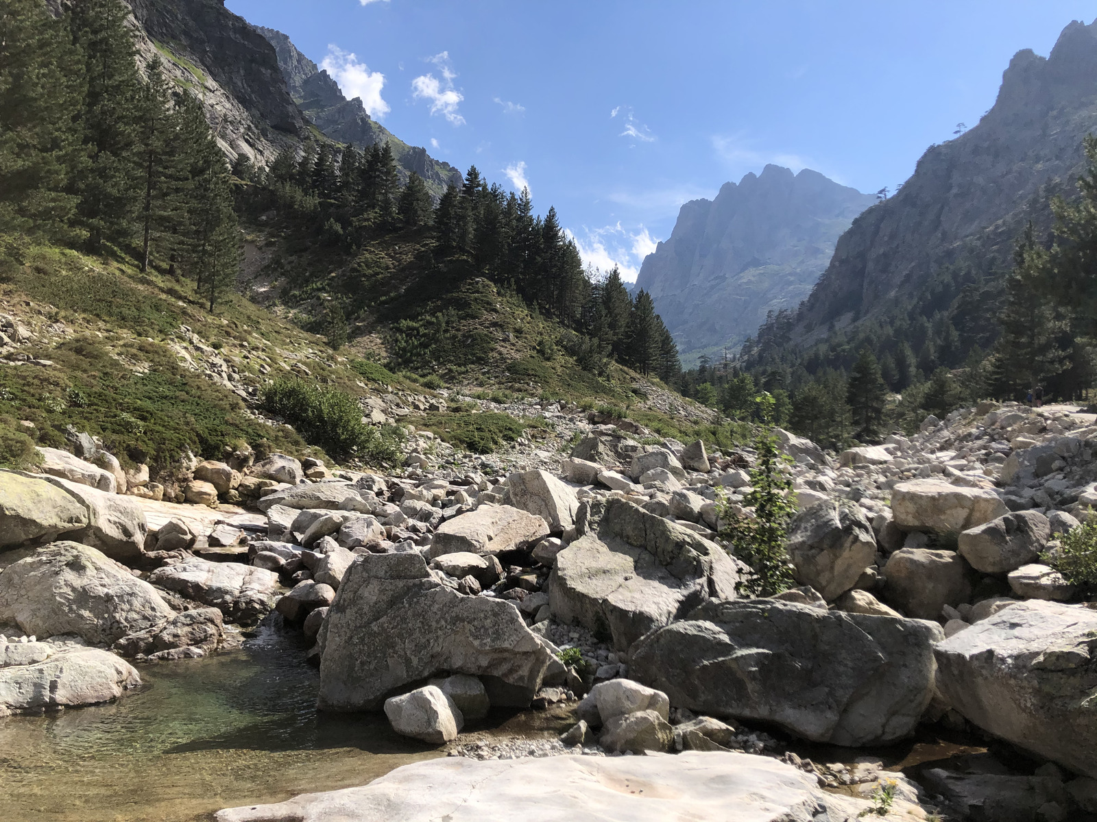 รูปถ่าย ฝรั่งเศส(France) คอร์สิคา(Corsica) หุบเขาลาเรสโตนีกา(La Restonica) 2020-07 46