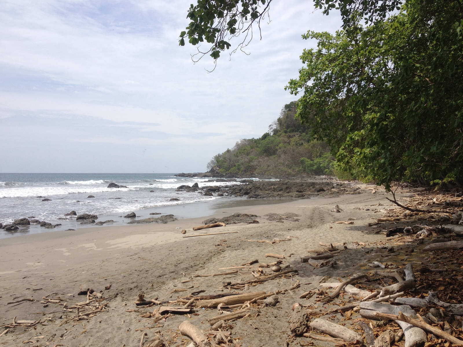 รูปถ่าย คอสตาริกา(Costa Rica) มอนเตซูมา(Montezuma) 2015-03 202