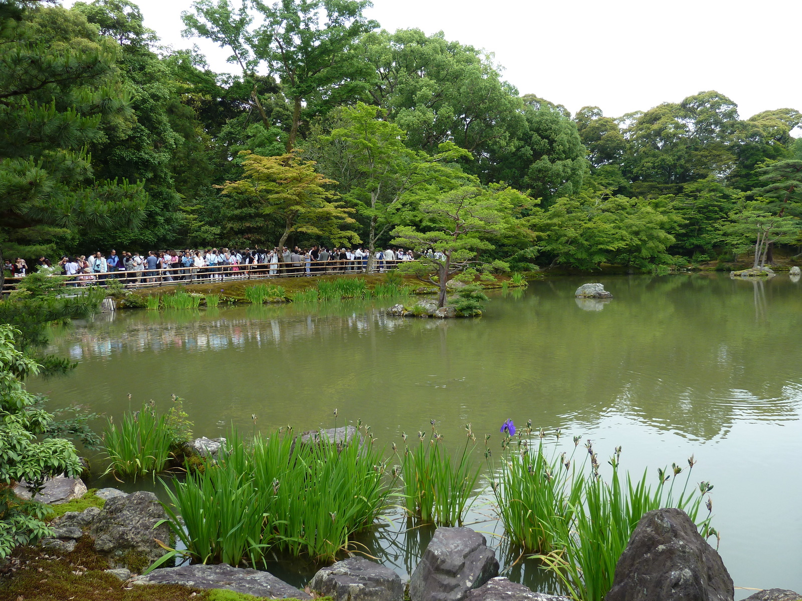 รูปถ่าย ญี่ปุ่น(Japan) เกียวโต(Kyoto) วัดคินกะกุจิ (ศาลาทอง)(Kinkakuji Temple(Golden Pavilion)) 2010-06 0