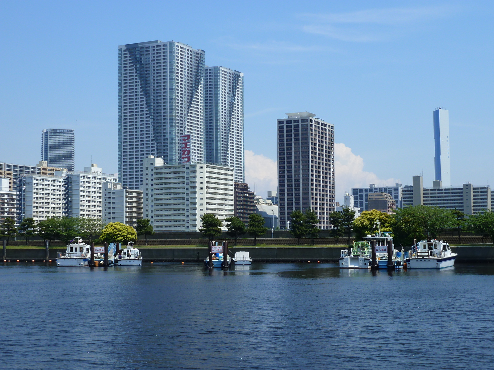 รูปถ่าย ญี่ปุ่น(Japan) โตเกียว(Tokyo) 2010-06 78