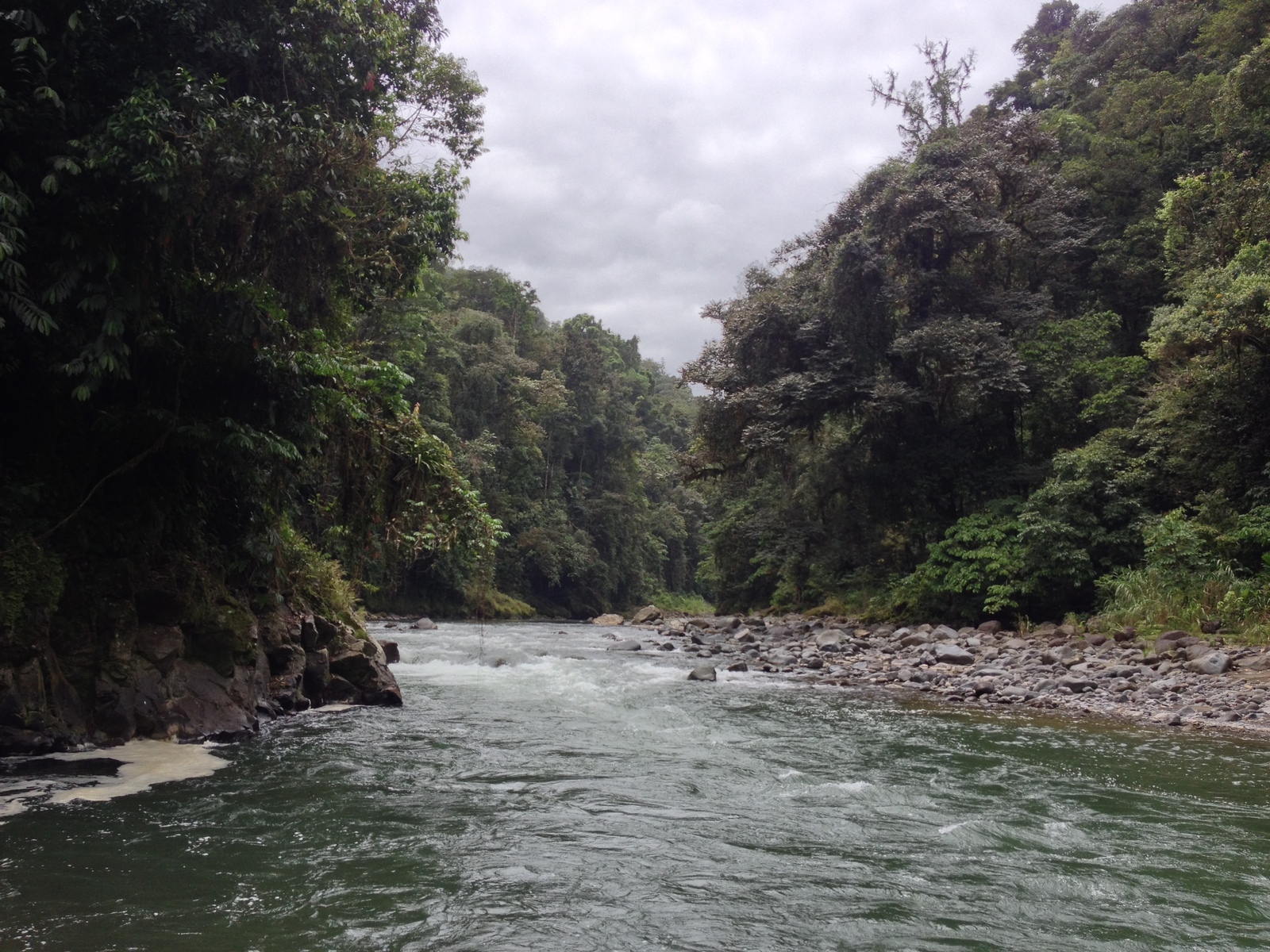 รูปถ่าย คอสตาริกา(Costa Rica) แม่น้ำปากัวเร(Pacuare River) 2015-03 21