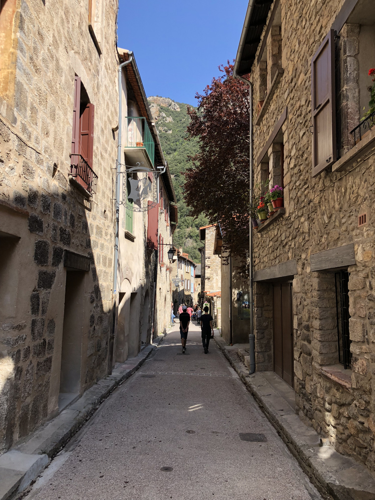 รูปถ่าย ฝรั่งเศส(France) วีลฟร็องช์-เดอ-กงฟล็อง(Villefranche de Conflent) 2018-04 20
