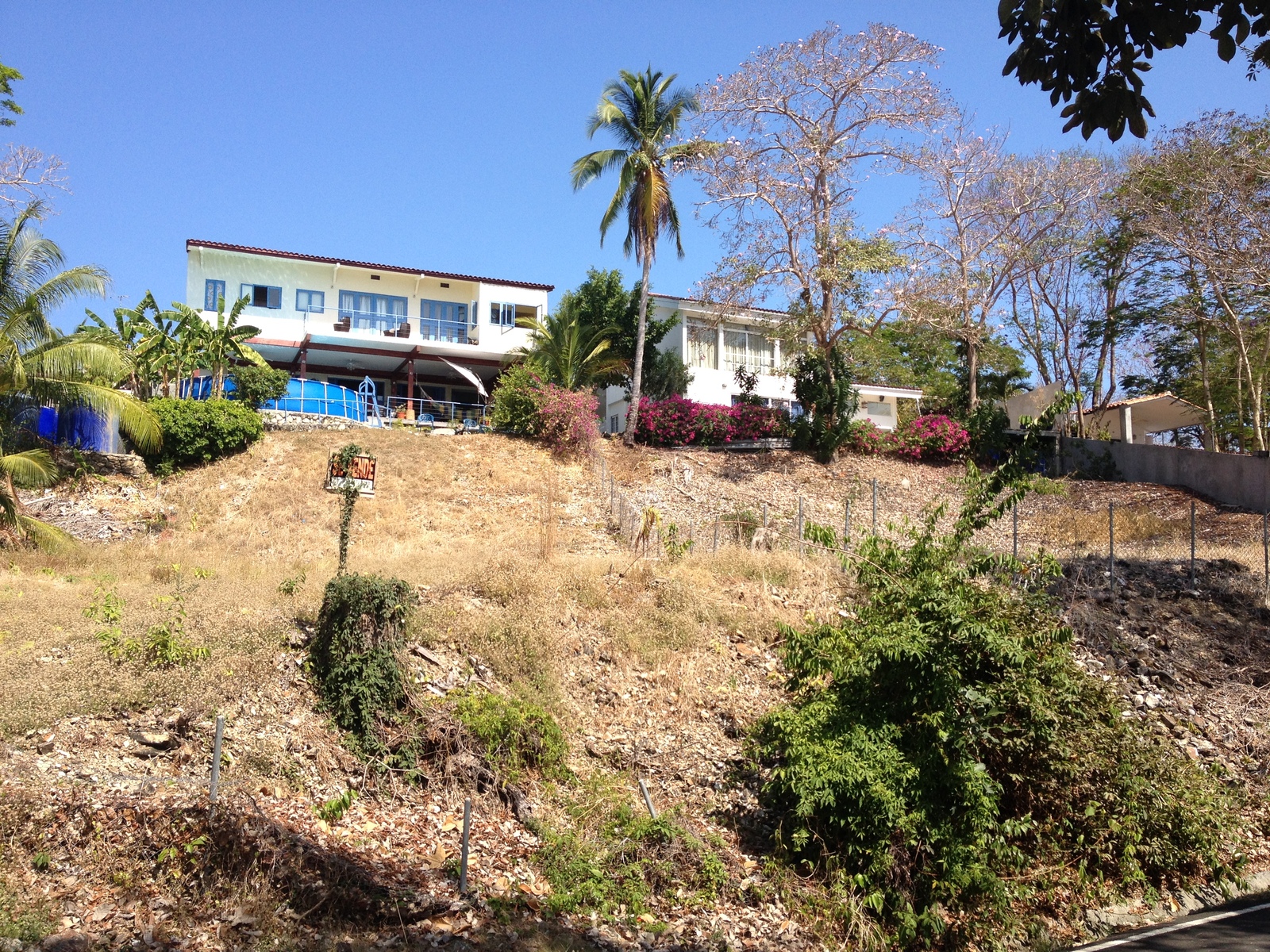 รูปถ่าย ปานามา(Panama) เกาะคอนตาโดรา(Contadora Island) 2015-03 111