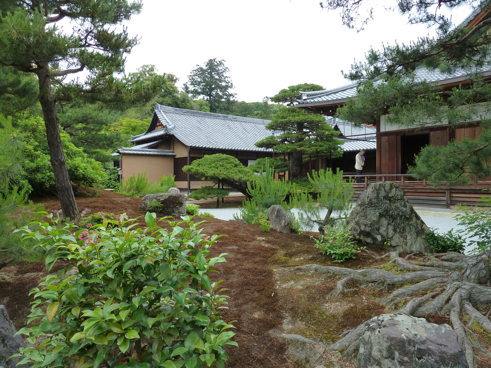 รูปถ่าย ญี่ปุ่น(Japan) เกียวโต(Kyoto) วัดคินกะกุจิ (ศาลาทอง)(Kinkakuji Temple(Golden Pavilion)) 2010-06 14