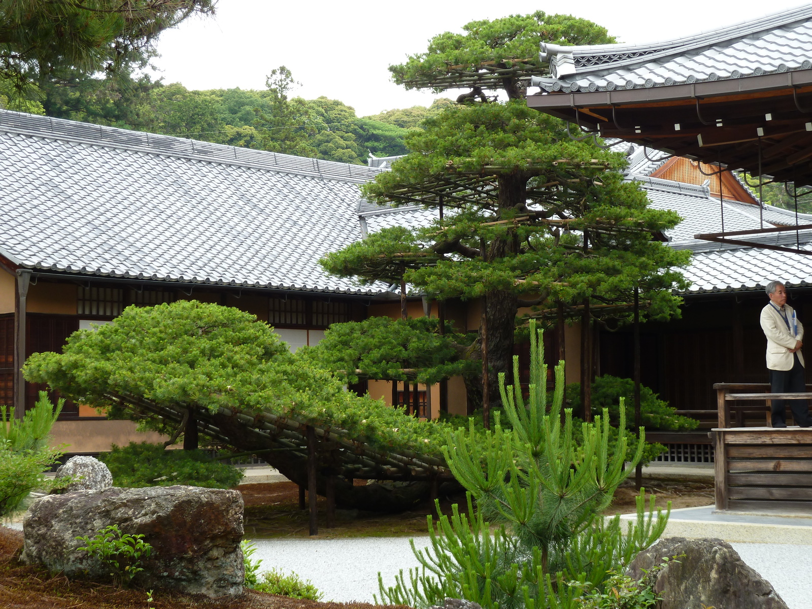 รูปถ่าย ญี่ปุ่น(Japan) เกียวโต(Kyoto) วัดคินกะกุจิ (ศาลาทอง)(Kinkakuji Temple(Golden Pavilion)) 2010-06 20
