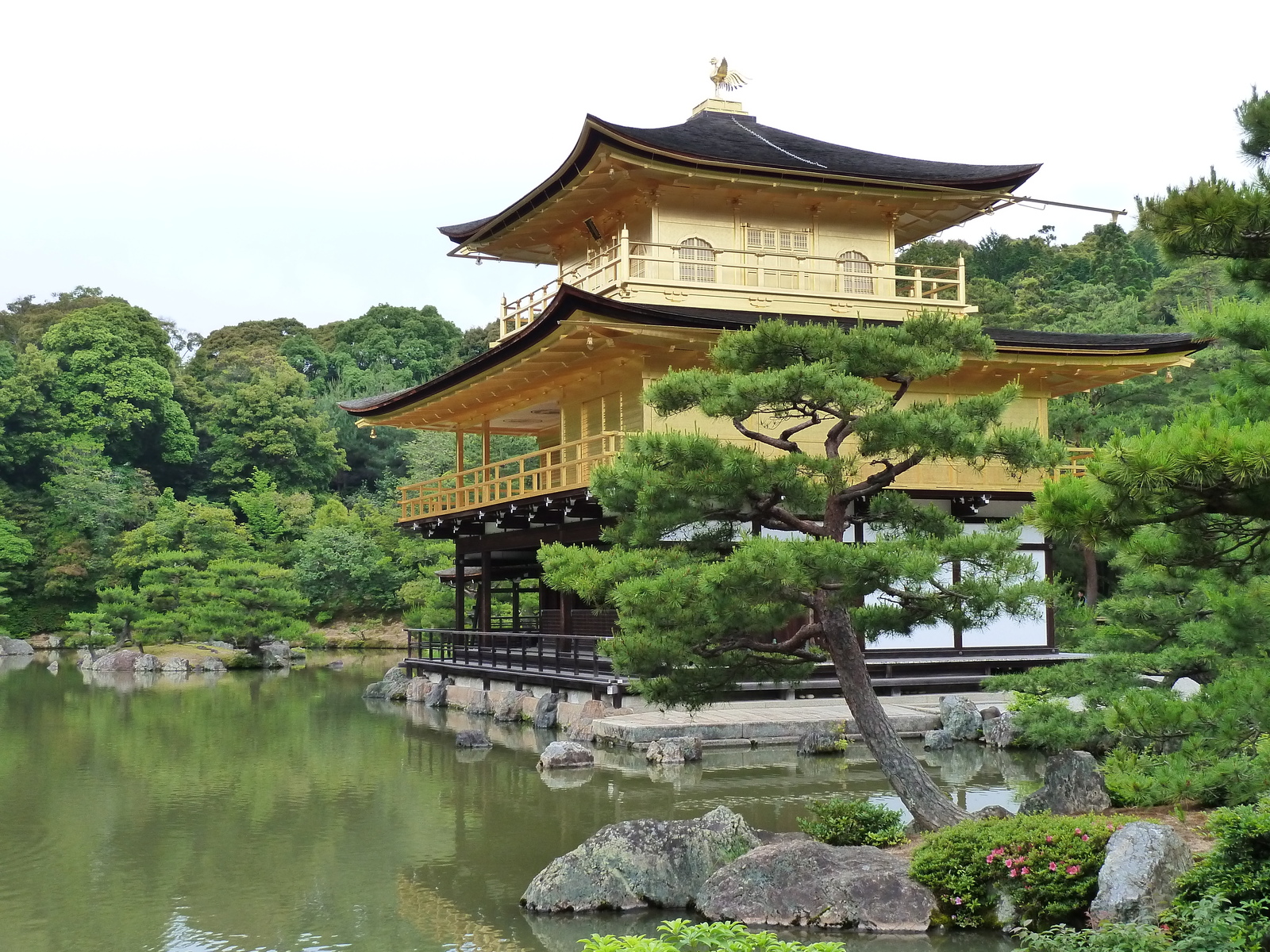 รูปถ่าย ญี่ปุ่น(Japan) เกียวโต(Kyoto) วัดคินกะกุจิ (ศาลาทอง)(Kinkakuji Temple(Golden Pavilion)) 2010-06 25