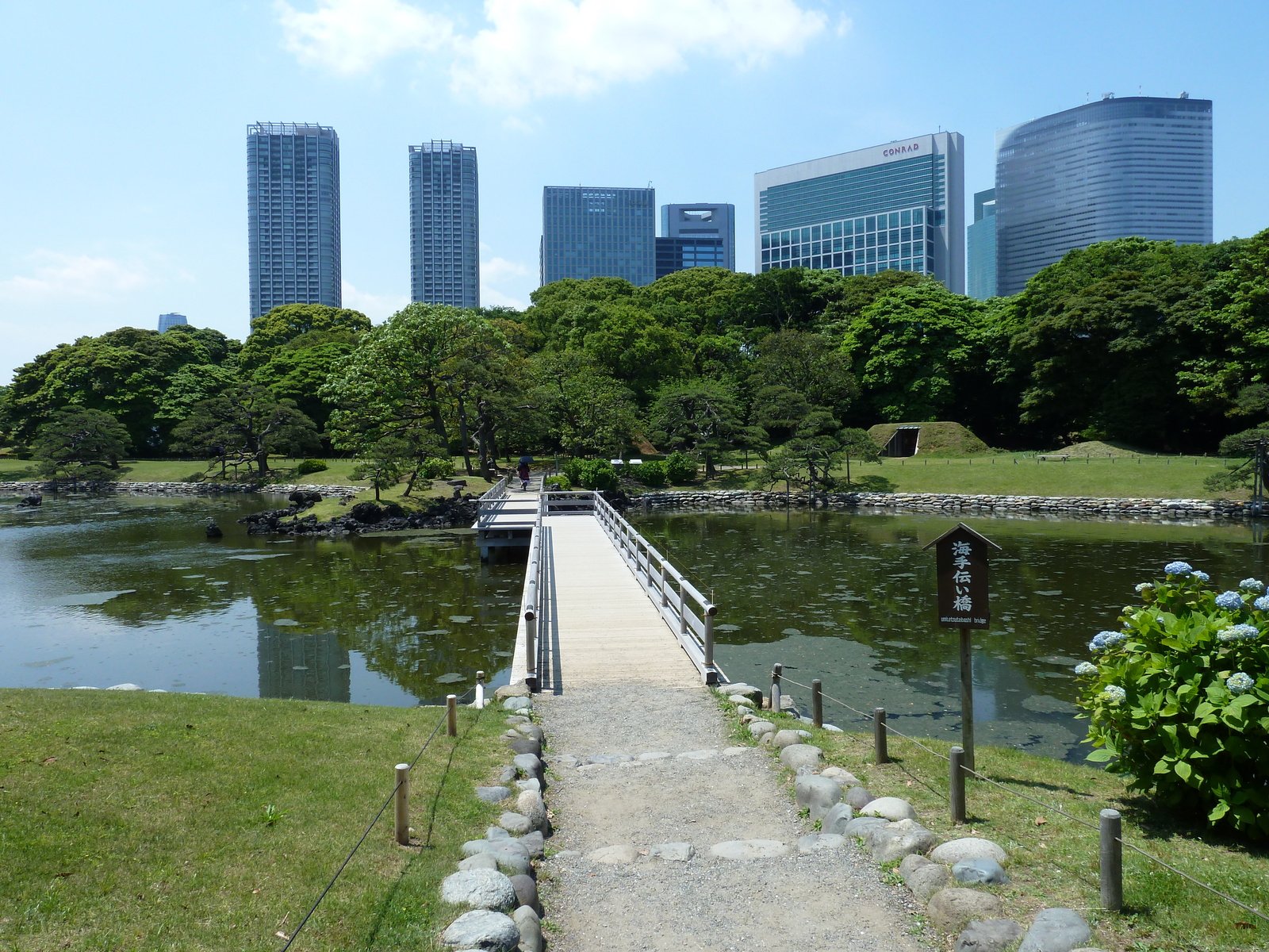 รูปถ่าย ญี่ปุ่น(Japan) โตเกียว(Tokyo) สวนฮามะริคิว(Hama rikyu Gardens) 2010-06 113