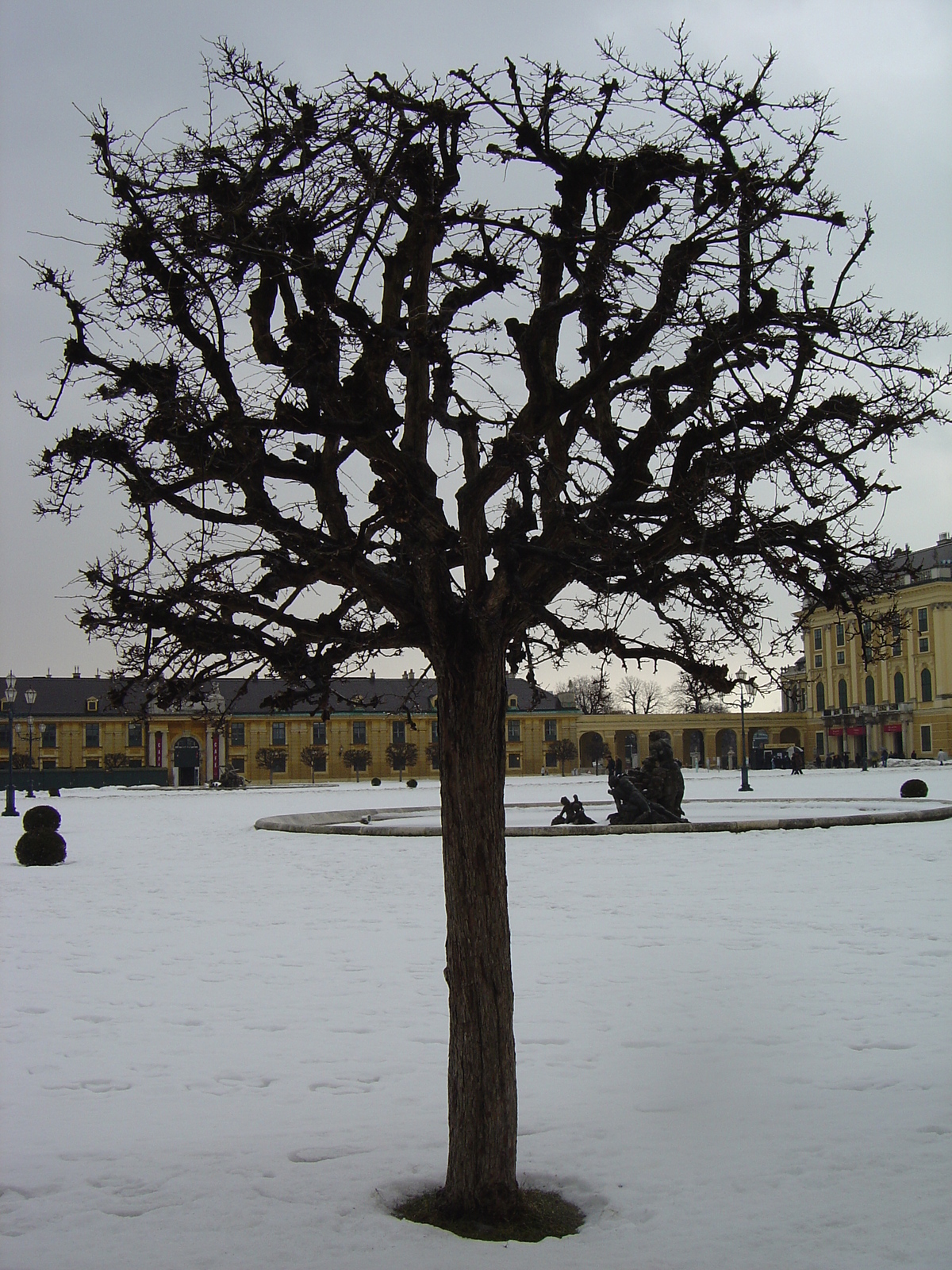 รูปถ่าย ออสเตรีย(Austria) เวียนนา(Vienna) 2005-03 3