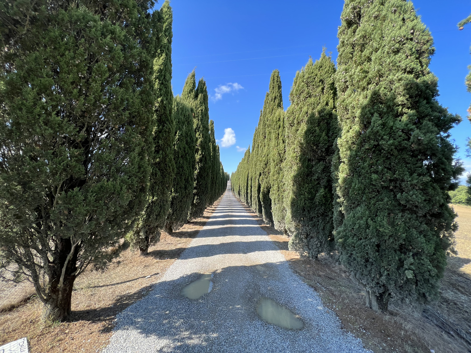 รูปถ่าย อิตาลี(Italy) ทัสคานี(Tuscany) 2021-09 17