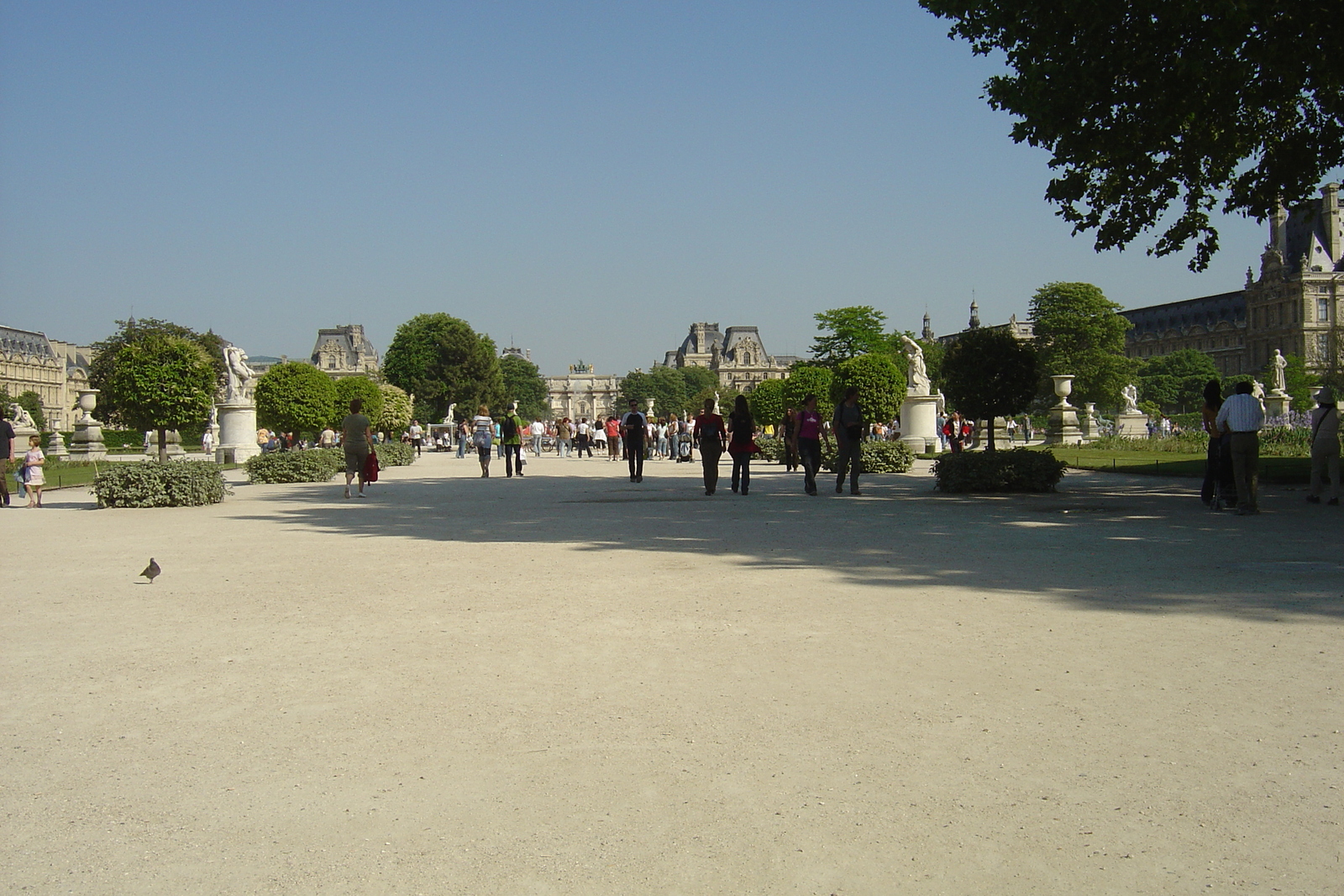 รูปถ่าย ฝรั่งเศส(France) ปารีส(Paris) สวนตุยเลอรี(Garden of Tuileries) 2007-05 87