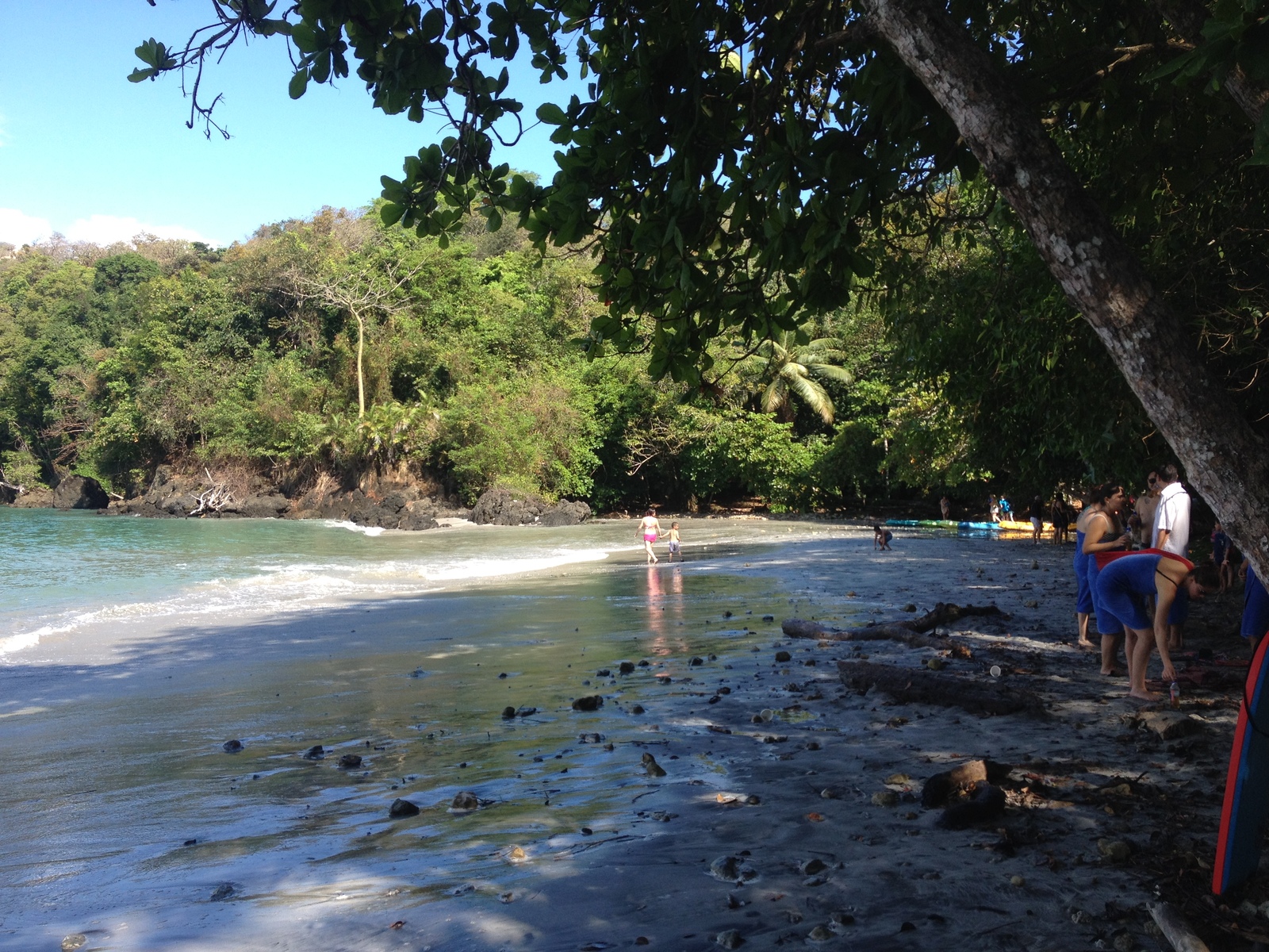 รูปถ่าย คอสตาริกา(Costa Rica) มานวยล์อันโตนีโอ(Manuel Antonio) 2015-03 203