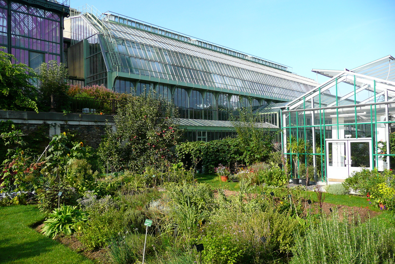 รูปถ่าย ฝรั่งเศส(France) ปารีส(Paris) สวนพันธ์ุพืช(Jardin des Plantes) 2007-08 132