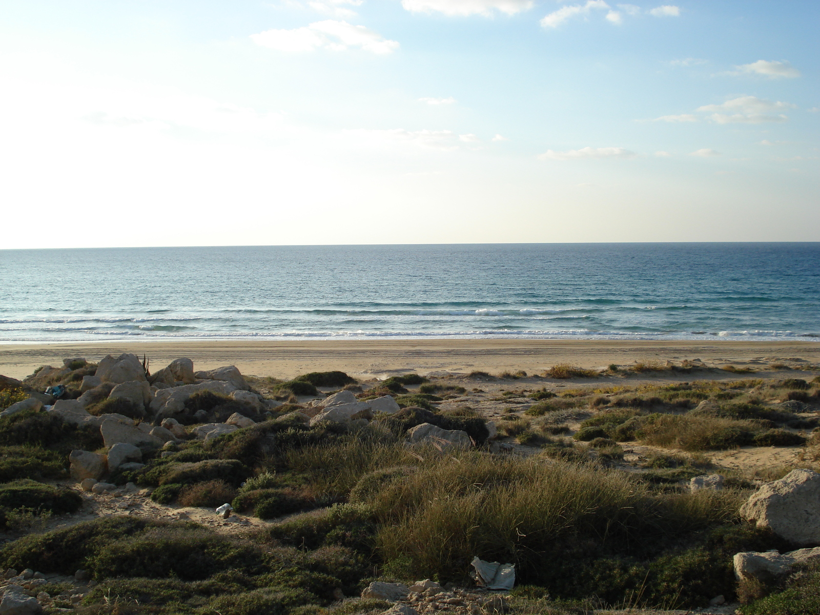 รูปถ่าย อิสราเอล(Israel) จากไฮฟาไปเทลอาวีฟ(From Haifa to Tel Aviv) 2006-12 12