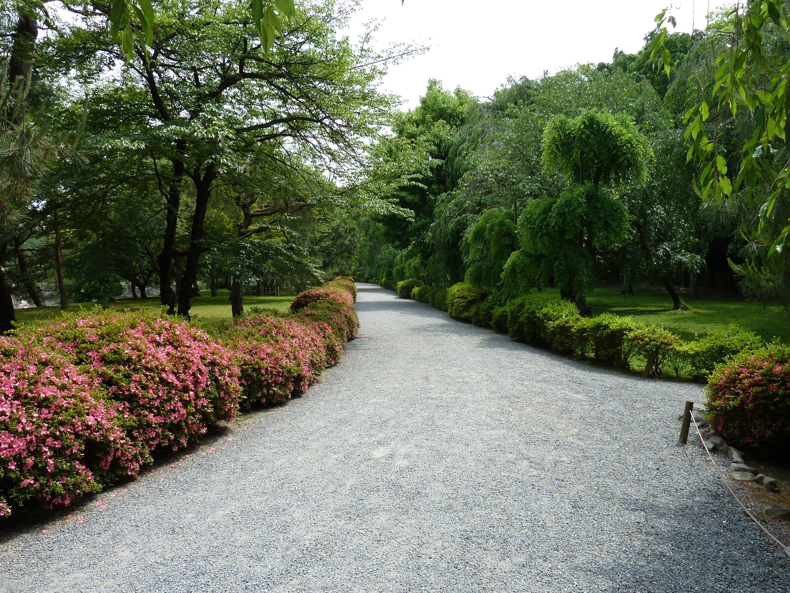 รูปถ่าย ญี่ปุ่น(Japan) เกียวโต(Kyoto) ปราสาทนิโจ(Nijo Castle) พระราชวังฮมมะรุ(Honmaru Palace) 2010-06 48
