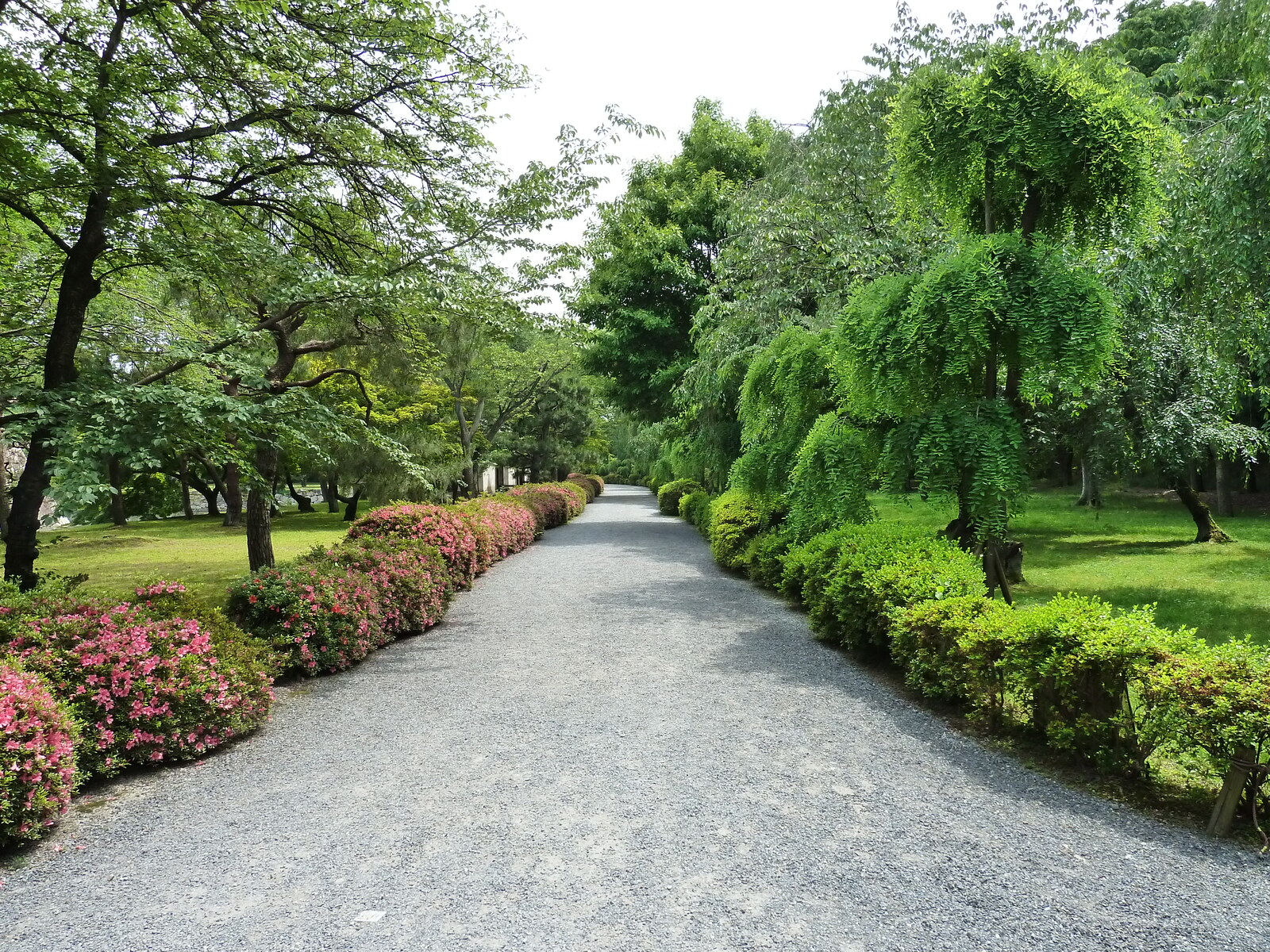 รูปถ่าย ญี่ปุ่น(Japan) เกียวโต(Kyoto) ปราสาทนิโจ(Nijo Castle) พระราชวังฮมมะรุ(Honmaru Palace) 2010-06 53