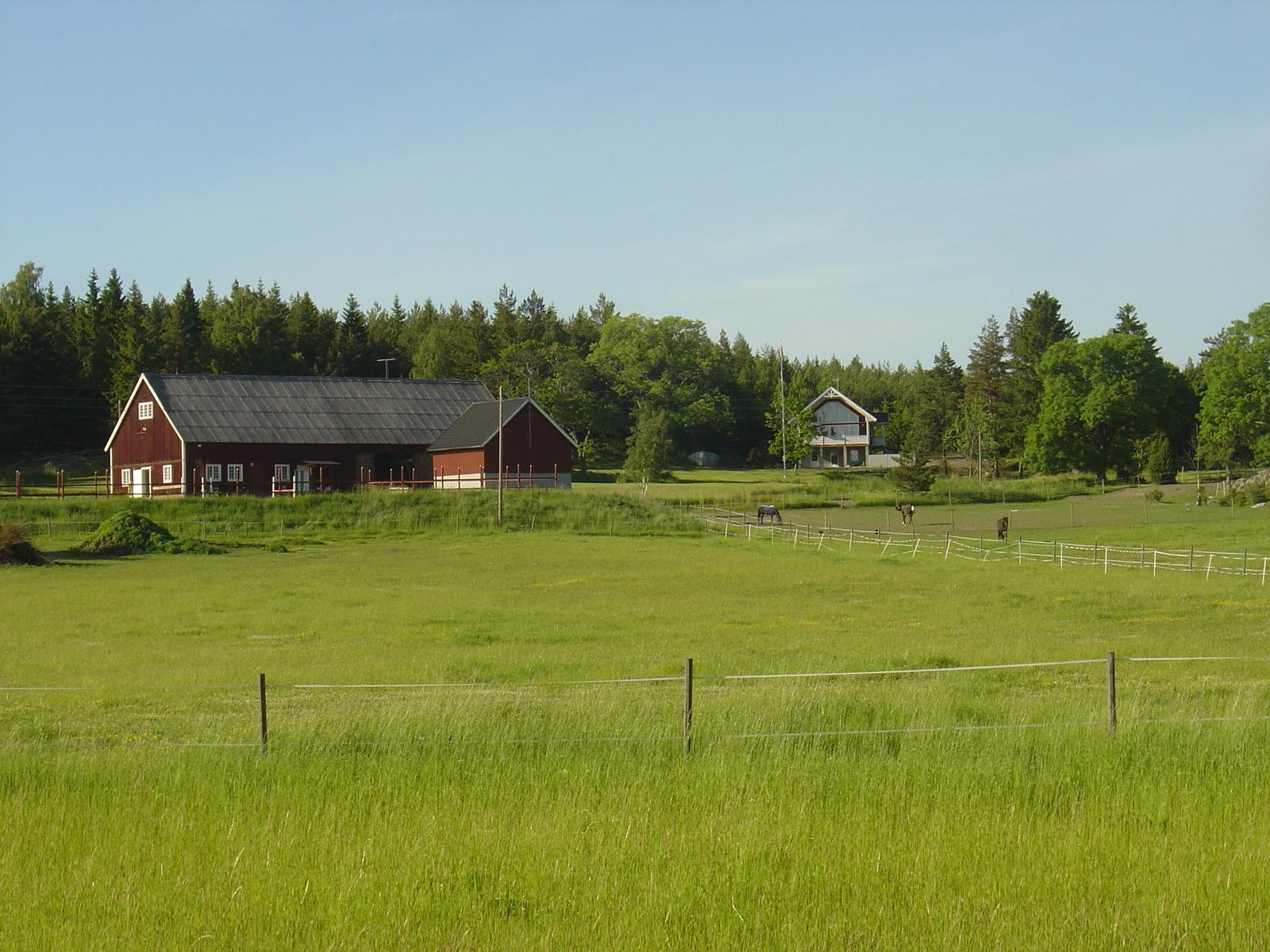 รูปถ่าย สวีเดน(Sweden) ถนนจากซิกทูนาไปอุปซอลา(Sigtuna to Uppsala road) 2005-06 11