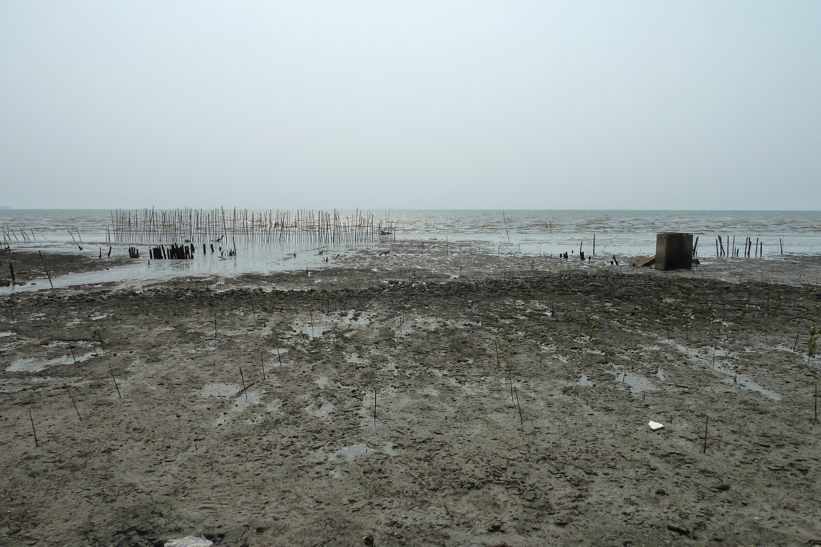 รูปถ่าย ไทย(Thailand) เกาะช้าง(Ko Chang) เรือเฟอร์รี(Ferry) 2011-02 3