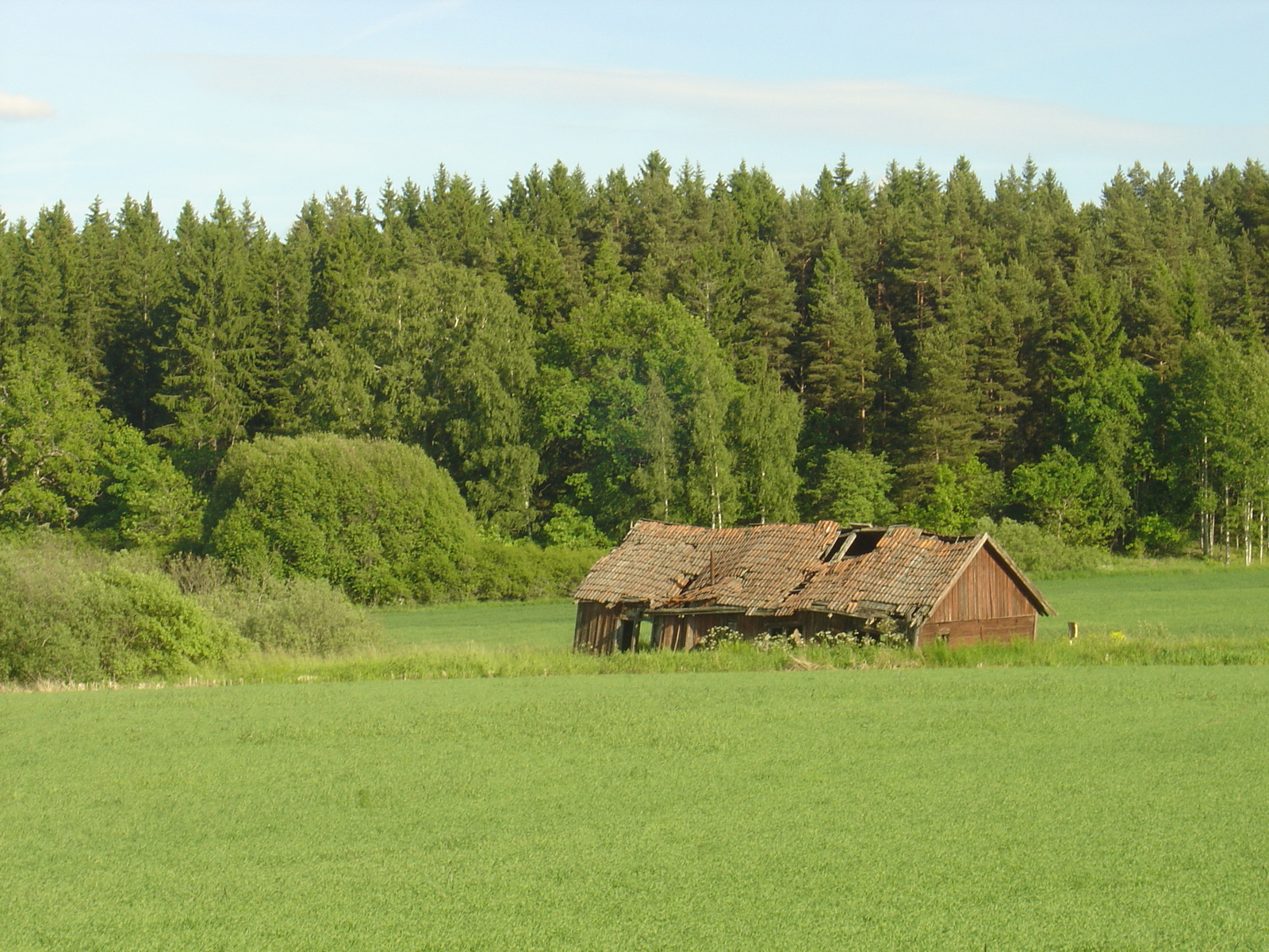 รูปถ่าย สวีเดน(Sweden) ถนนจากซิกทูนาไปอุปซอลา(Sigtuna to Uppsala road) 2005-06 14
