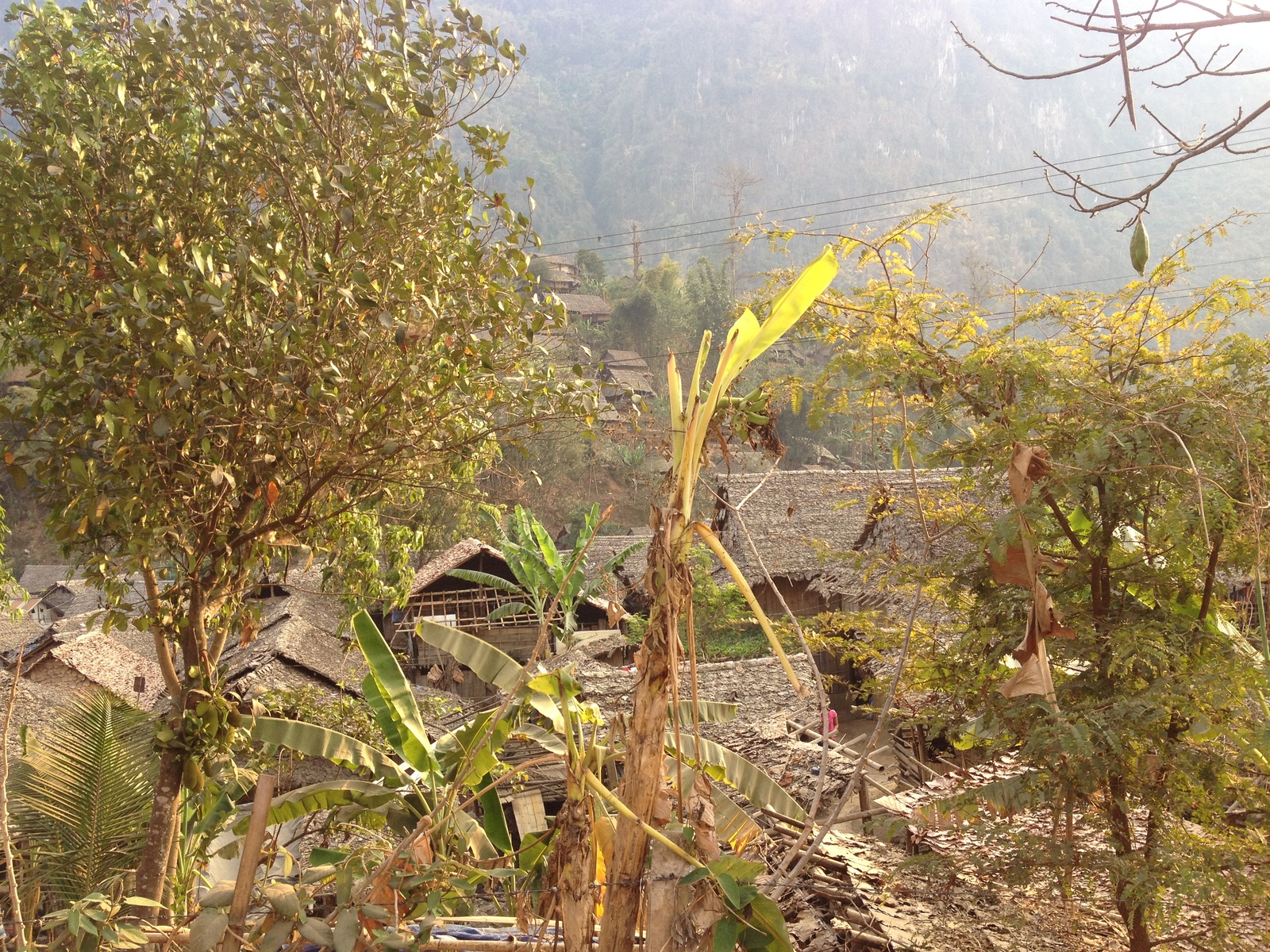 รูปถ่าย ไทย(Thailand) แม่สอด(Mae Sot) 2014-02 6