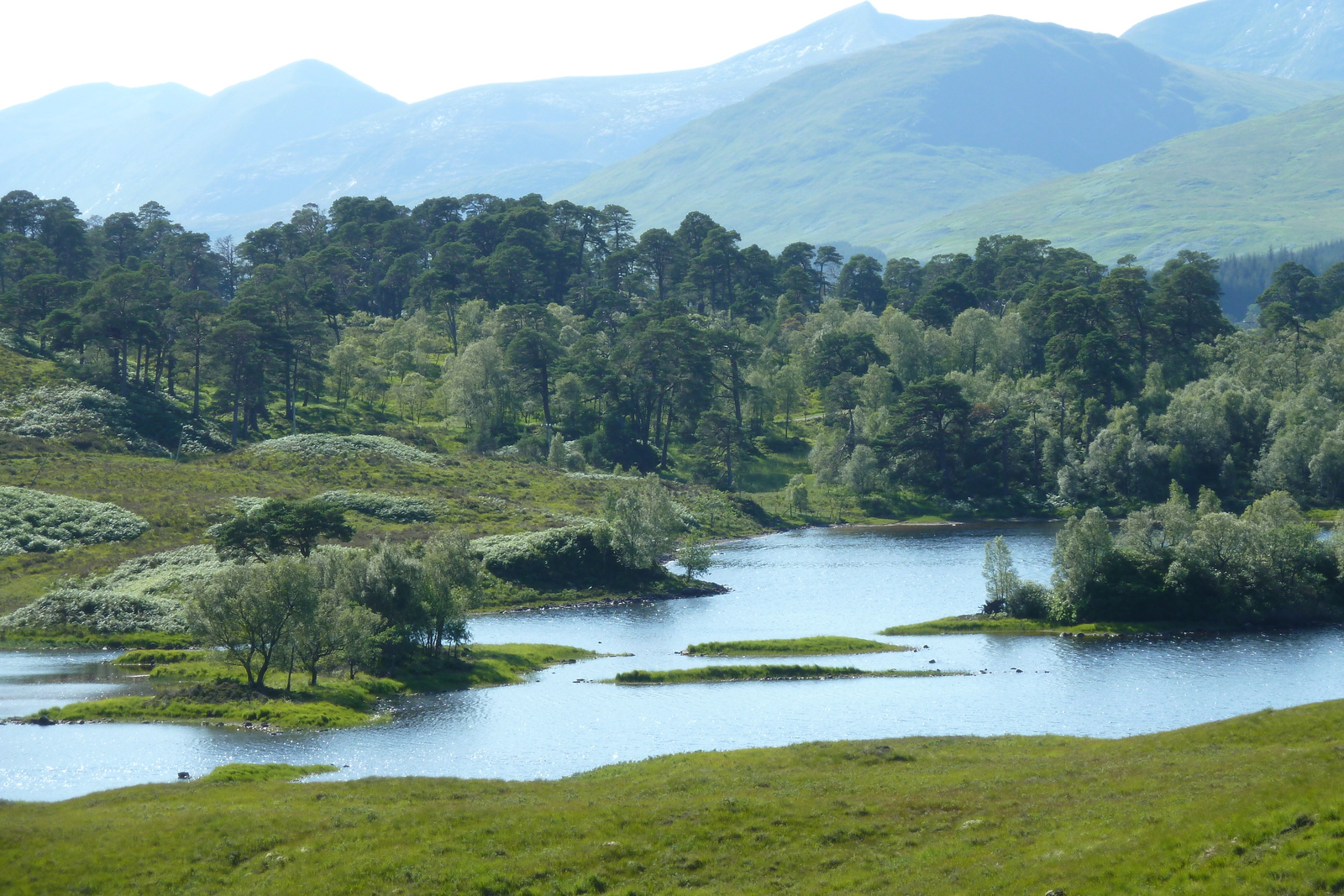 รูปถ่าย อังกฤษ(United Kingdom) สกอตแลนด์(Scotland) 2011-07 56