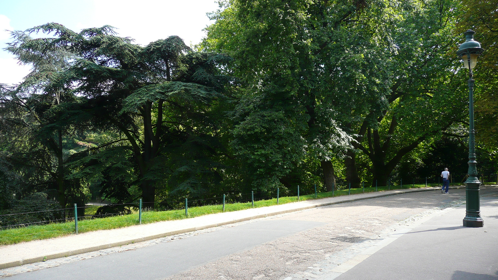 รูปถ่าย ฝรั่งเศส(France) ปารีส(Paris) สวนบุต-โชมง(Parc des Buttes Chaumont) 2007-08 202
