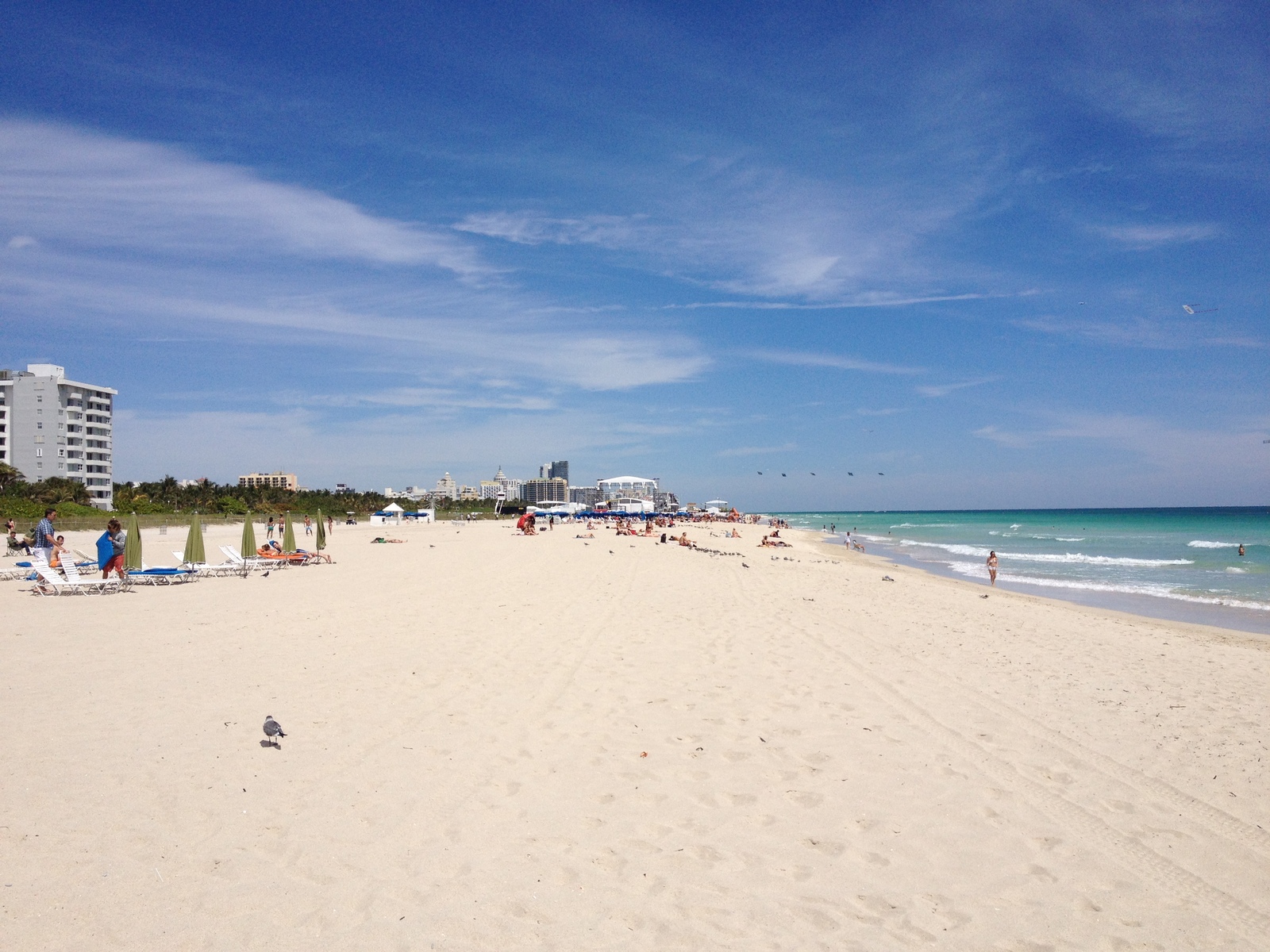 รูปถ่าย สหรัฐอเมริกา(United States) ไมแอมีบีช(Miami Beach) 2015-03 68