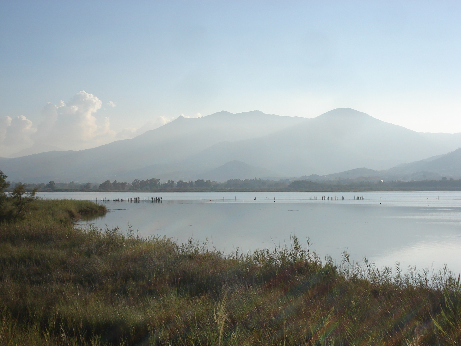 รูปถ่าย ฝรั่งเศส(France) คอร์สิคา(Corsica) หาดมารานา(Marana Beach) 2006-09 12