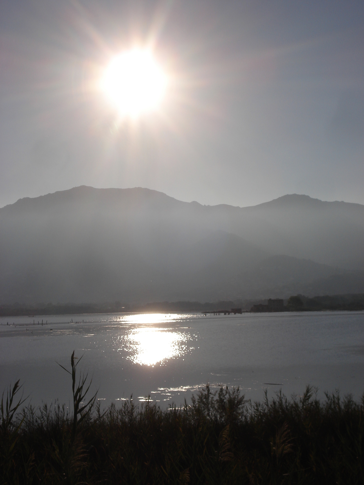 รูปถ่าย ฝรั่งเศส(France) คอร์สิคา(Corsica) หาดมารานา(Marana Beach) 2006-09 11