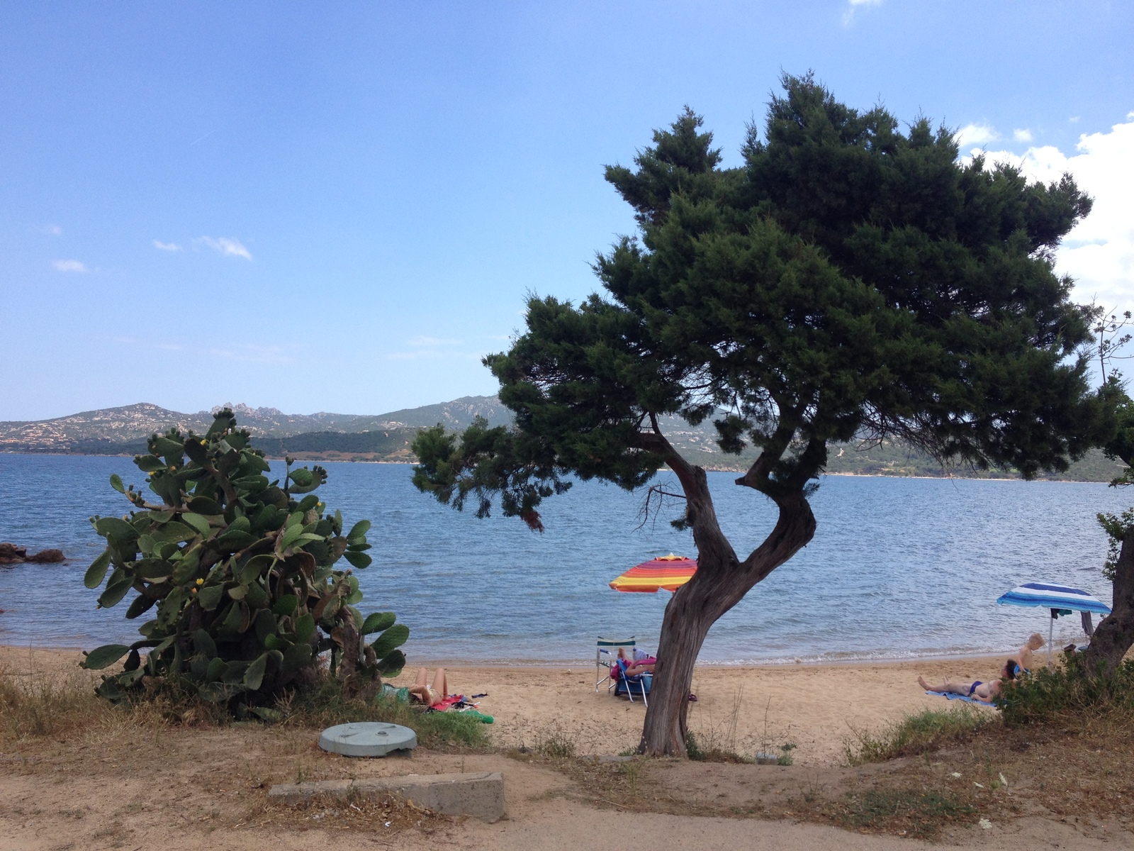 รูปถ่าย อิตาลี(Italy) ซาร์ดิเนีย(Sardinia) กอสตาสเมรัลดา(Costa Smeralda) 2015-06 38