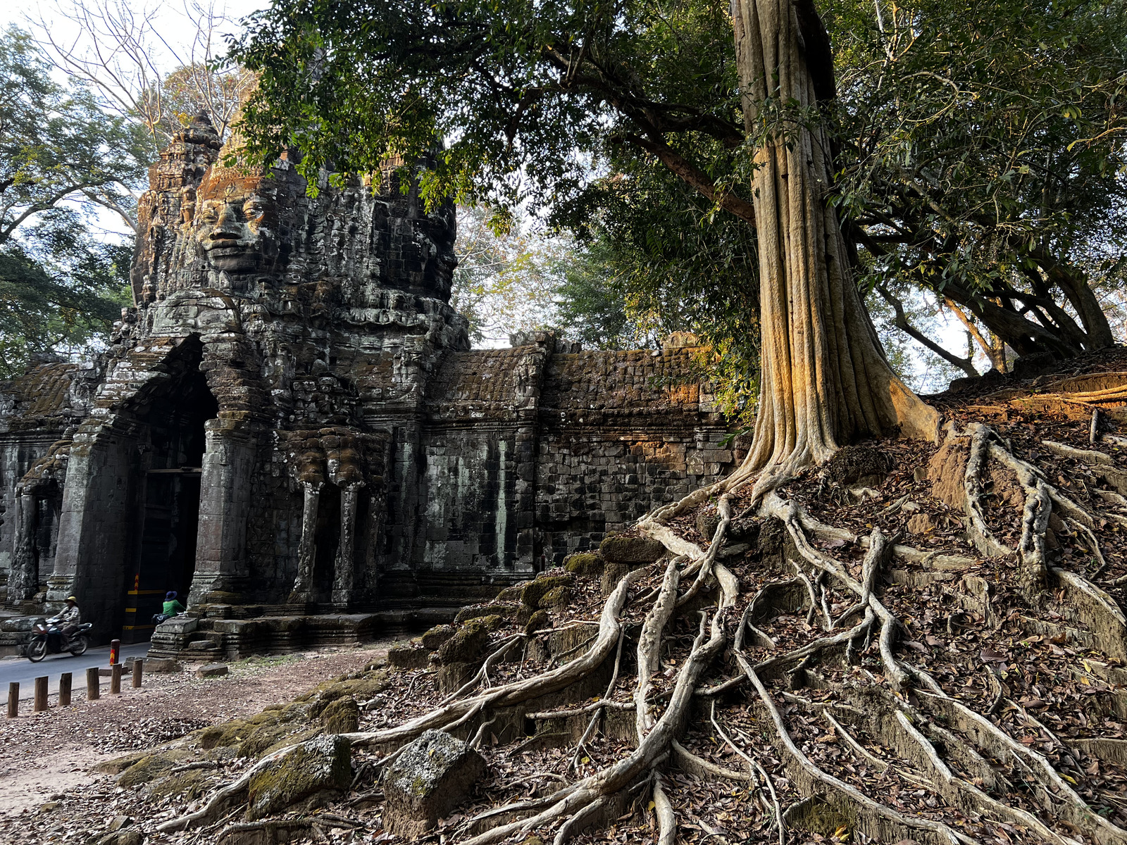 รูปถ่าย กัมพูชา(Cambodia) เสียมราฐ(Siem Reap) นครธม(Angkor Thom) 2023-01 55