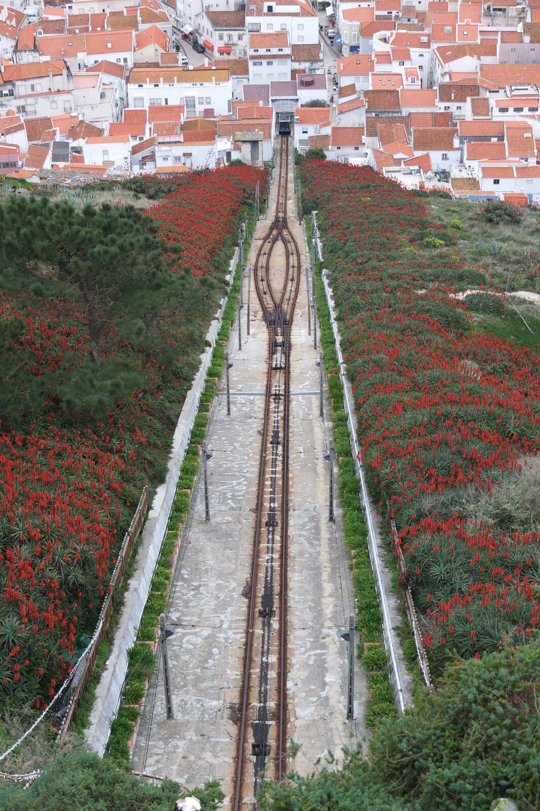 รูปถ่าย โปรตุเกส(Portugal) นาซาเร(Nazare) 2013-01 15