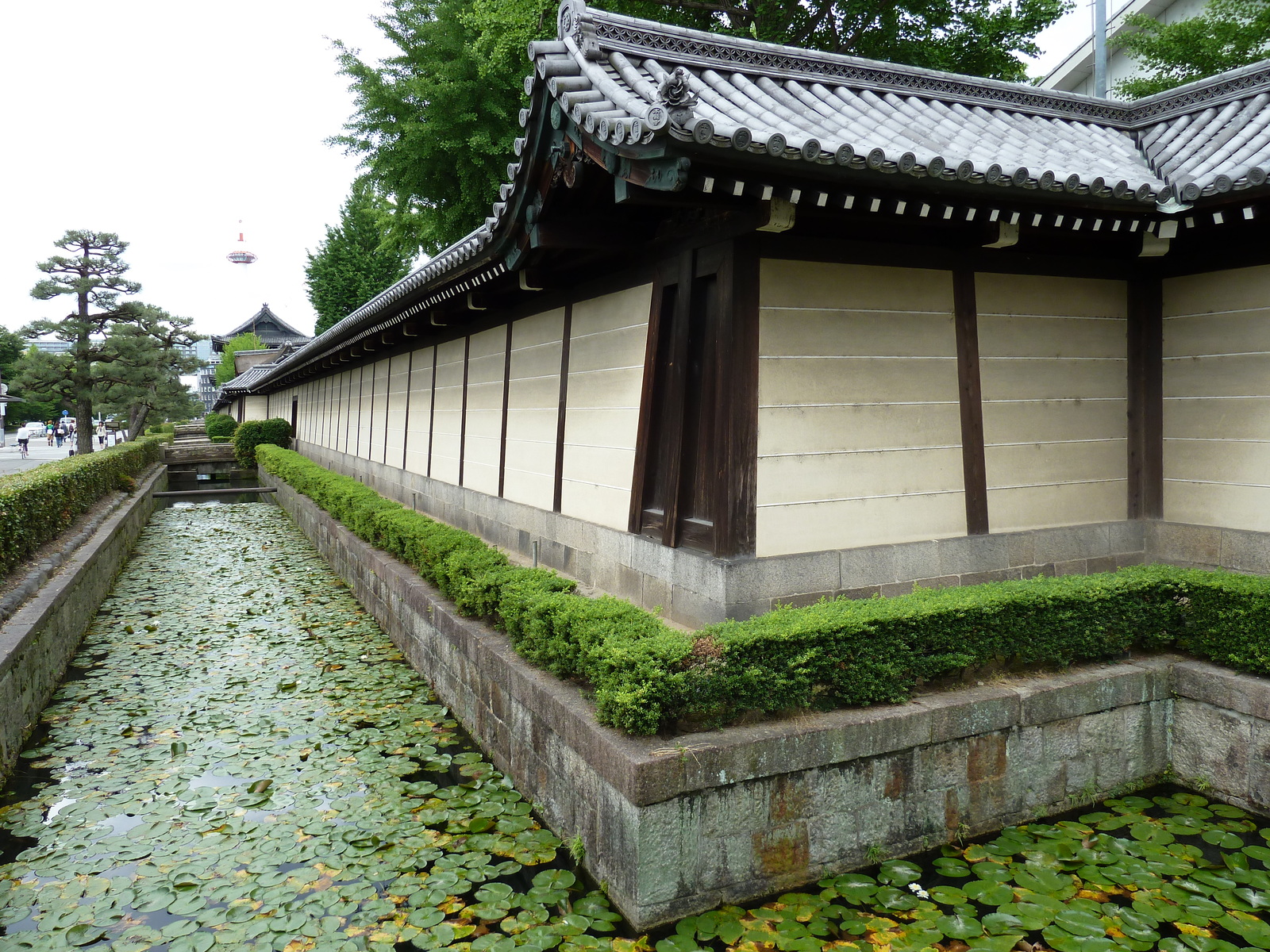 รูปถ่าย ญี่ปุ่น(Japan) เกียวโต(Kyoto) วัดฮิงาชิฮงกันจิ(Higashi Honganji Temple) 2010-06 13