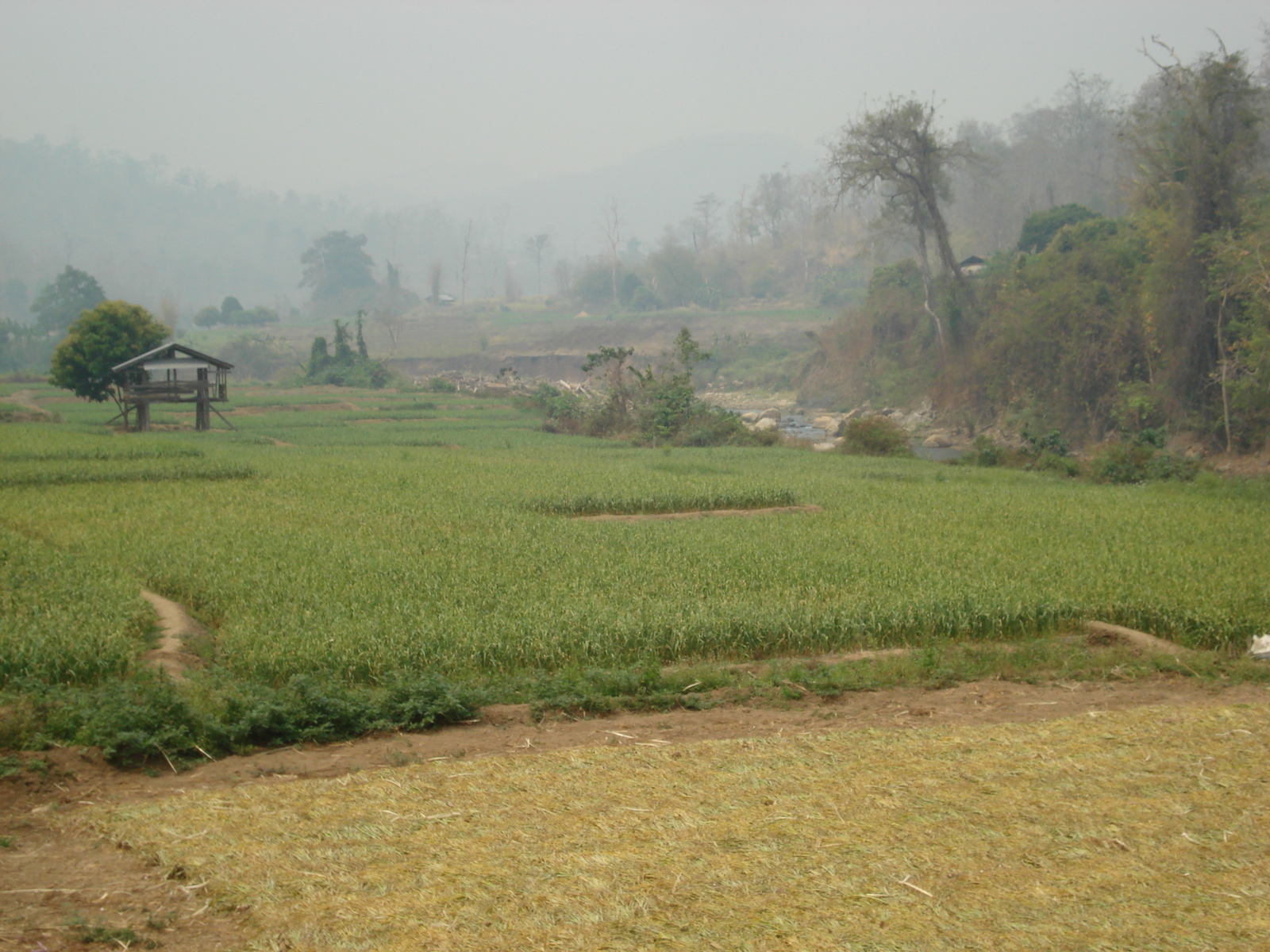 รูปถ่าย ไทย(Thailand) ถนนจากปางมะผ้าไปปาย(Pang Mapha to Pai road) 2007-02 29