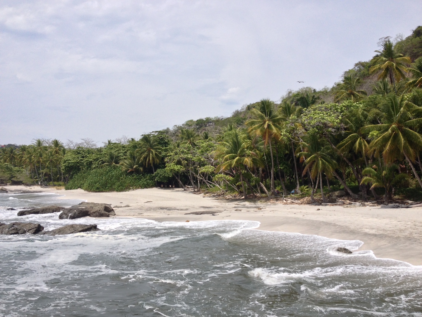 รูปถ่าย คอสตาริกา(Costa Rica) มอนเตซูมา(Montezuma) 2015-03 12