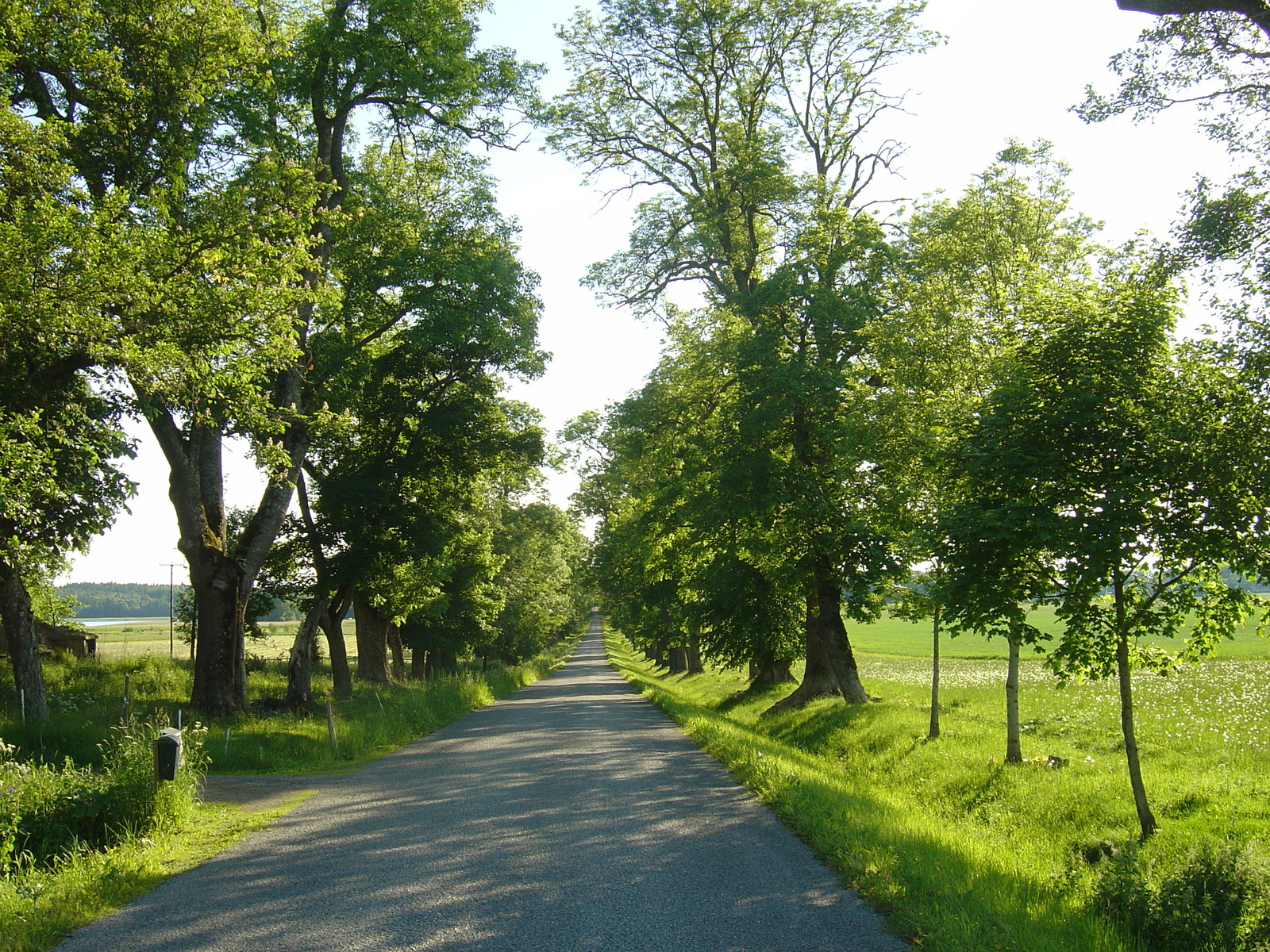 รูปถ่าย สวีเดน(Sweden) ถนนจากซิกทูนาไปอุปซอลา(Sigtuna to Uppsala road) 2005-06 10