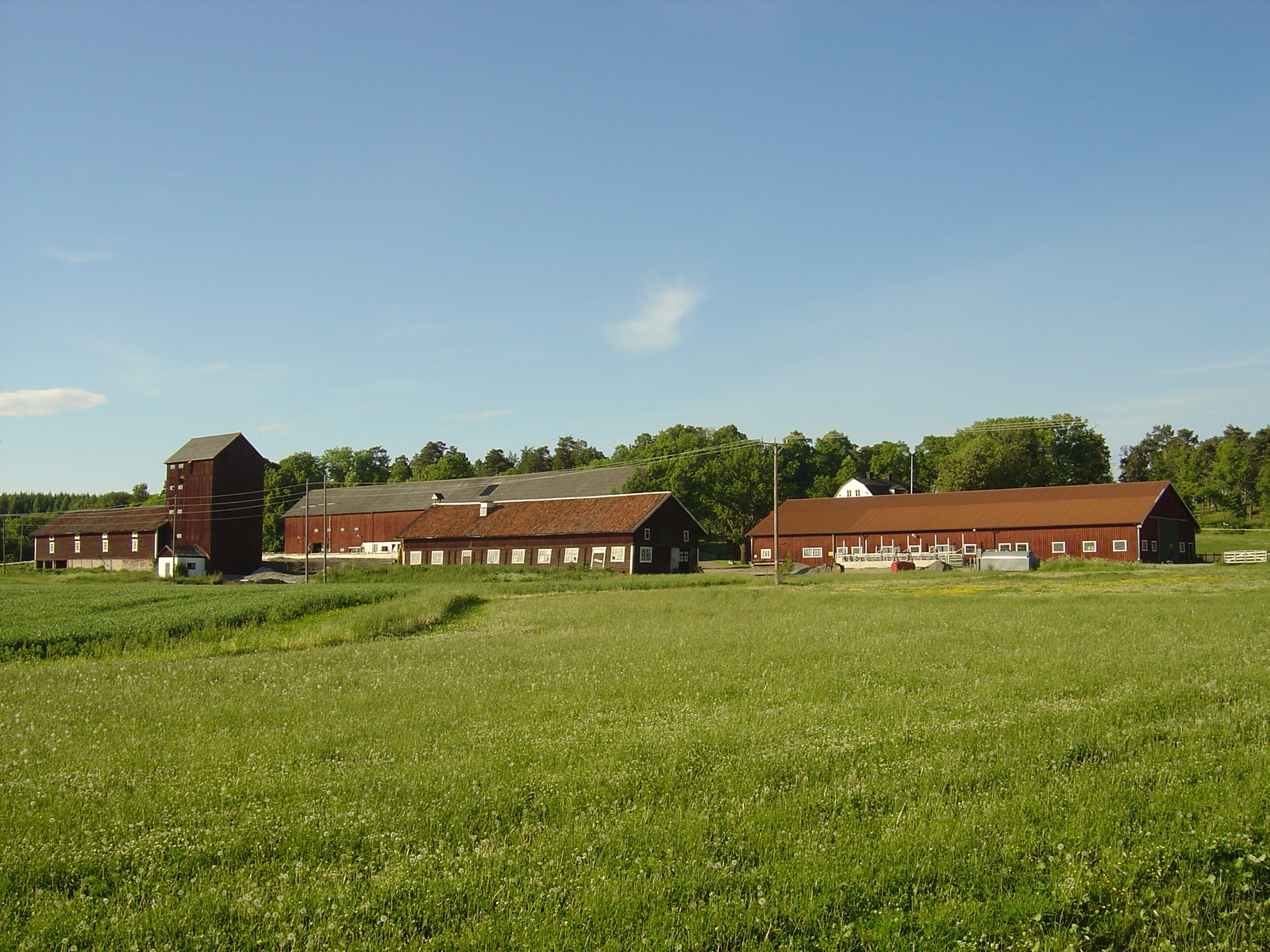 รูปถ่าย สวีเดน(Sweden) ถนนจากซิกทูนาไปอุปซอลา(Sigtuna to Uppsala road) 2005-06 8