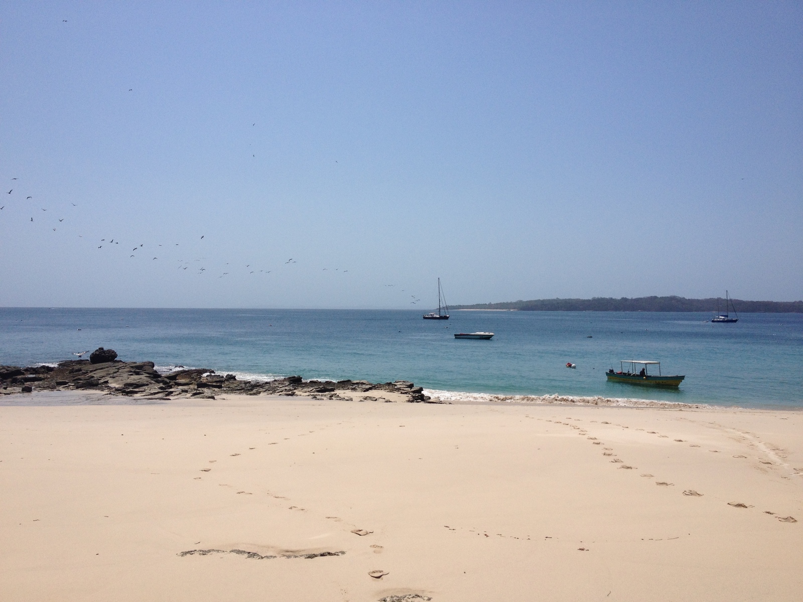รูปถ่าย ปานามา(Panama) เกาะคอนตาโดรา(Contadora Island) 2015-03 35
