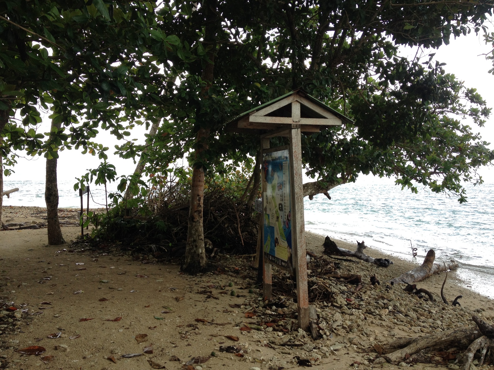 รูปถ่าย คอสตาริกา(Costa Rica) กาอุยตา(Cahuita) 2015-03 47